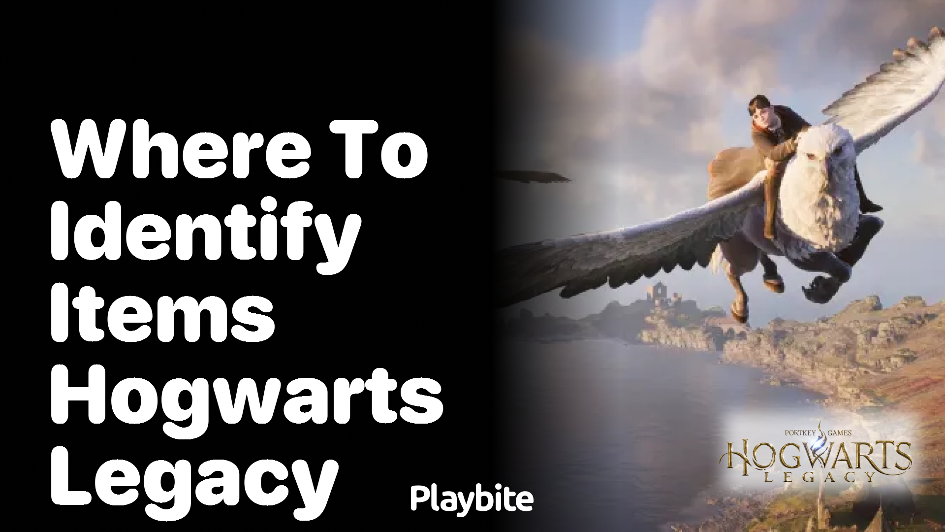 Where to Identify Items in Hogwarts Legacy