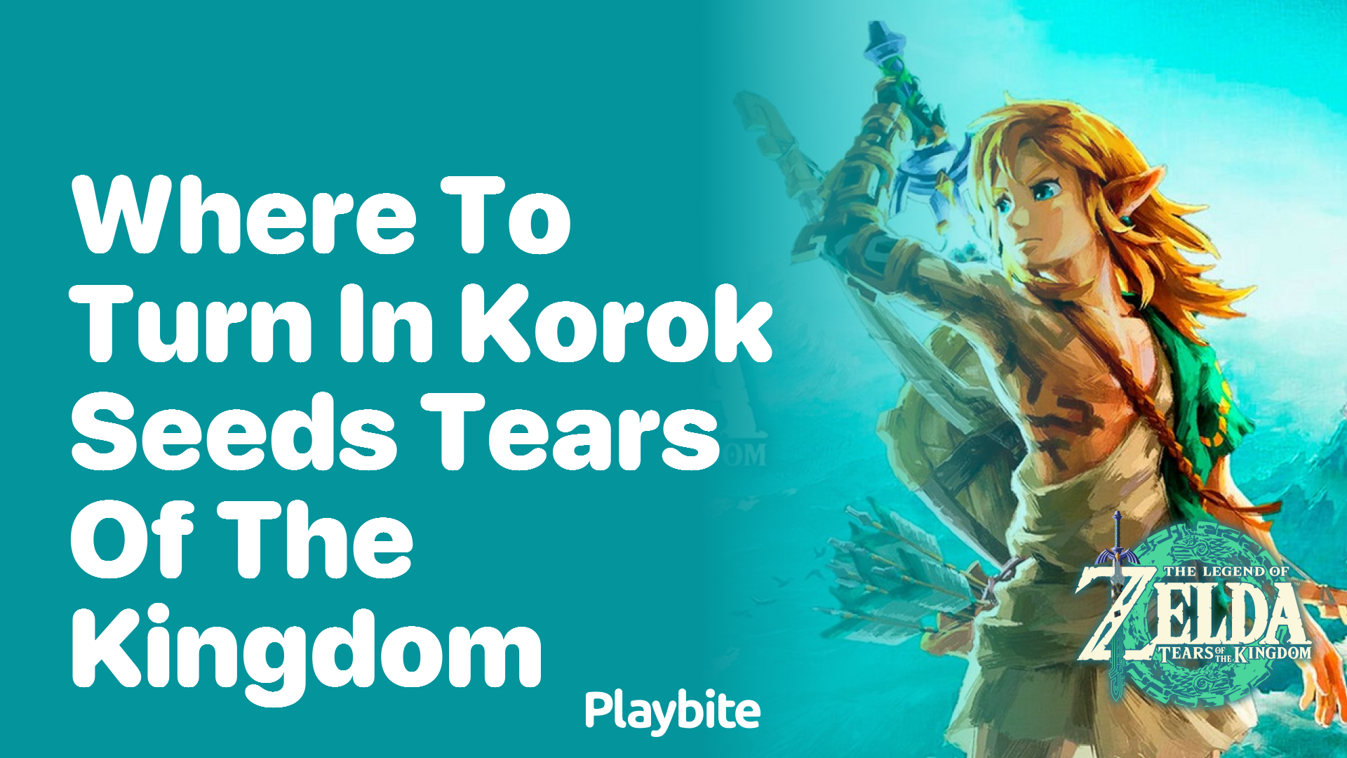 Where to Turn in Korok Seeds in Tears of the Kingdom