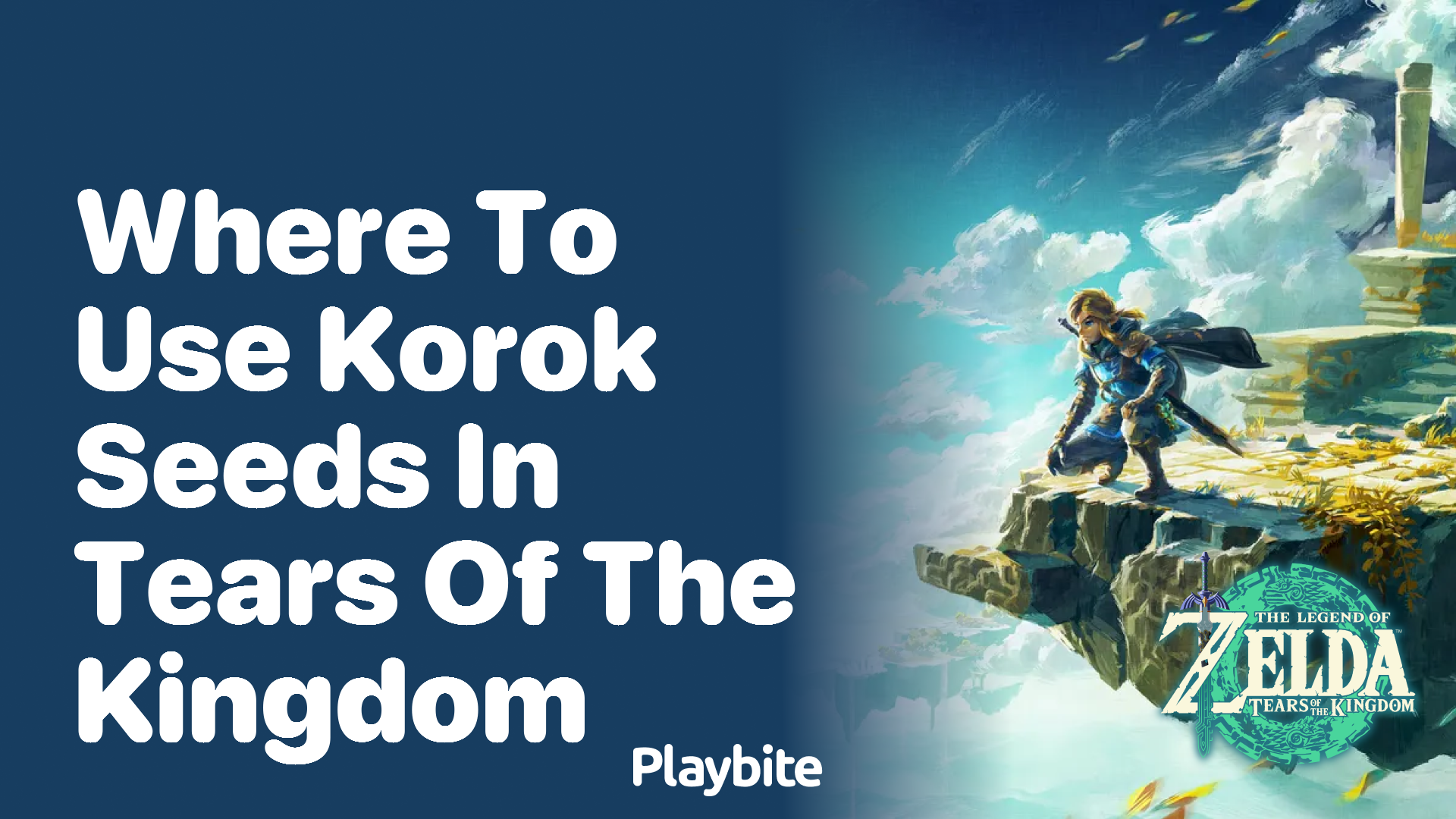 Where to Use Korok Seeds in Tears of the Kingdom