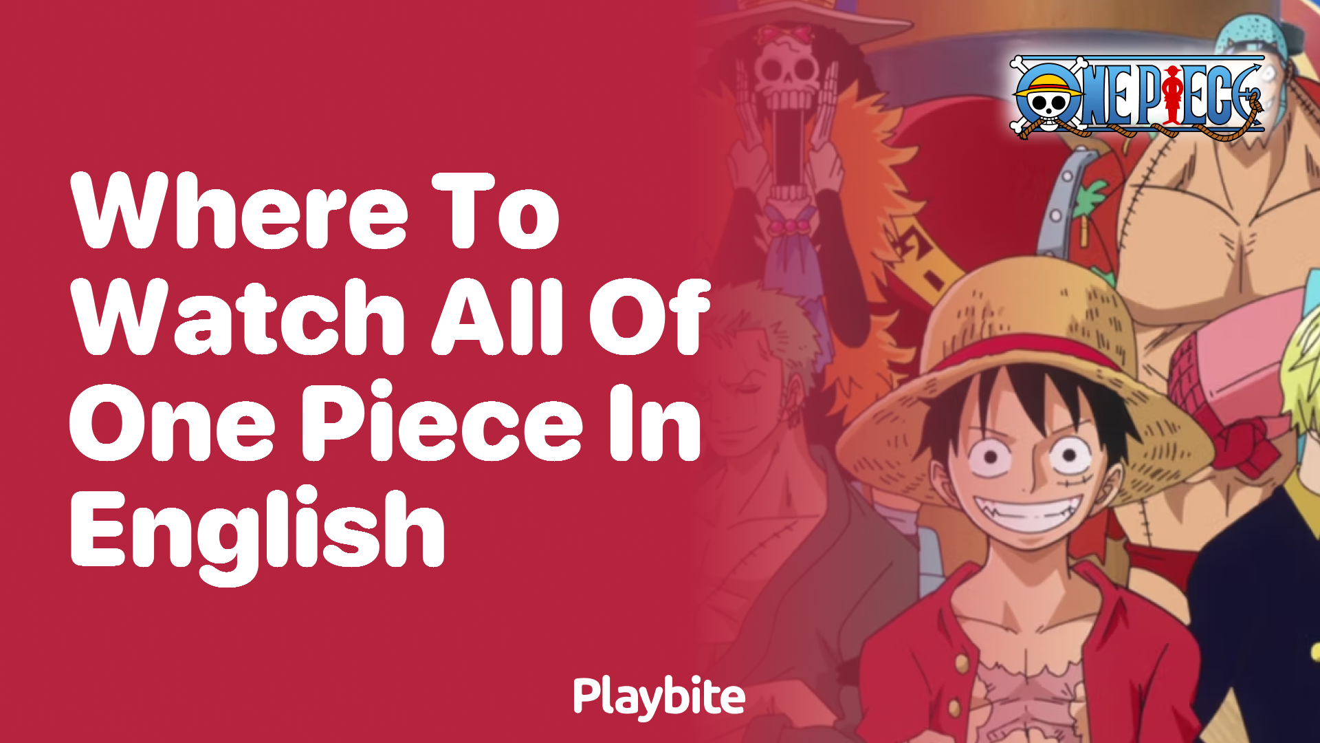 Where to Watch All of One Piece in English? Playbite