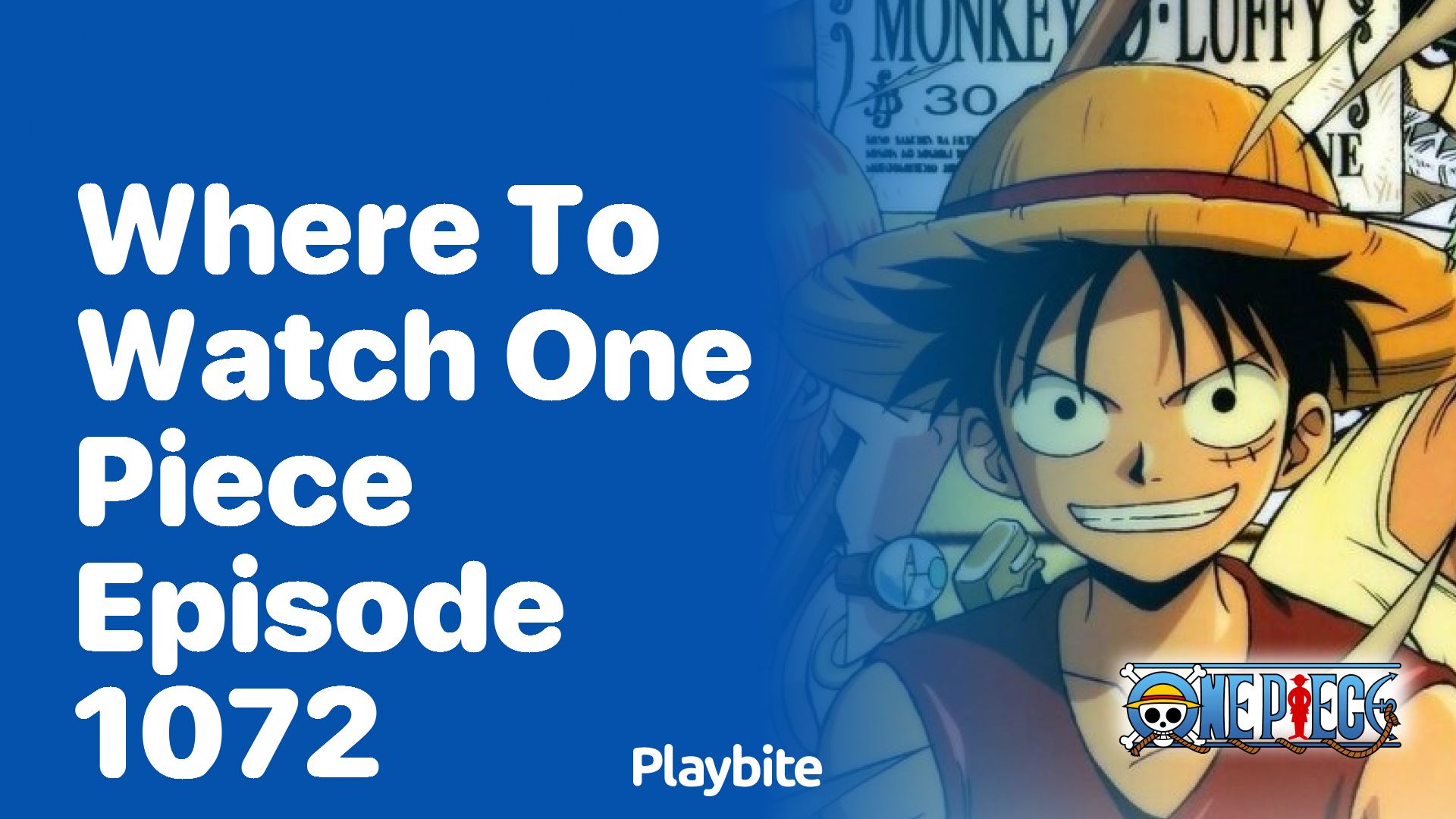 Where to Watch One Piece Episode 1072