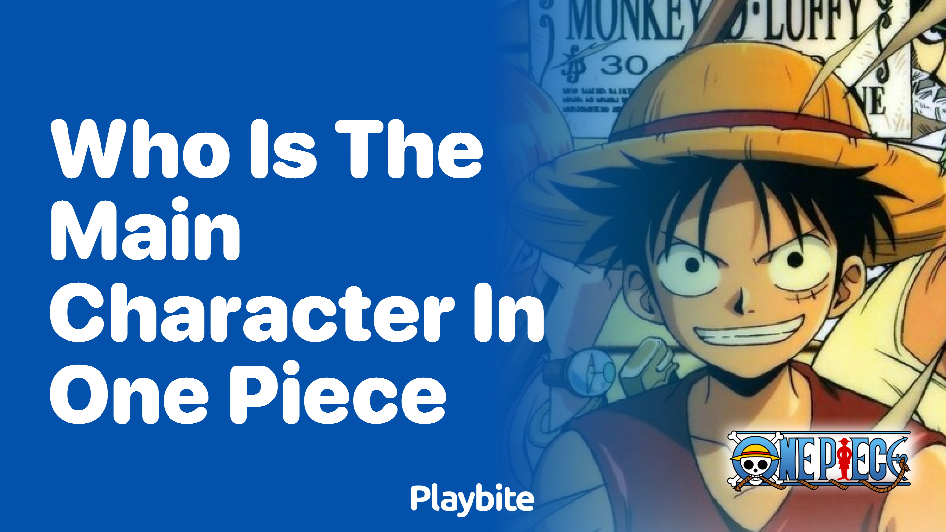 Who Is the Main Character in One Piece?