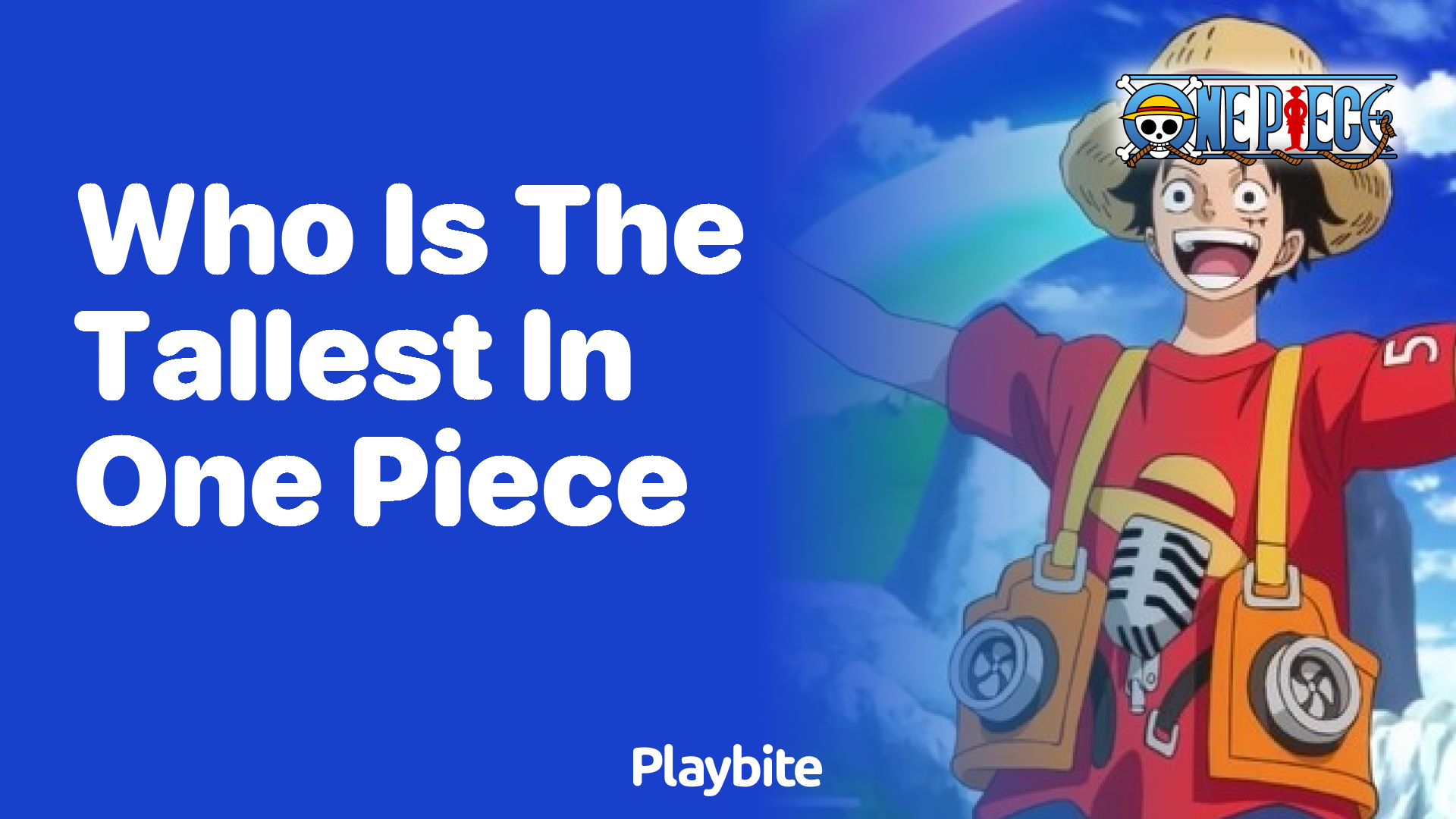Who Is the Tallest Character in One Piece?