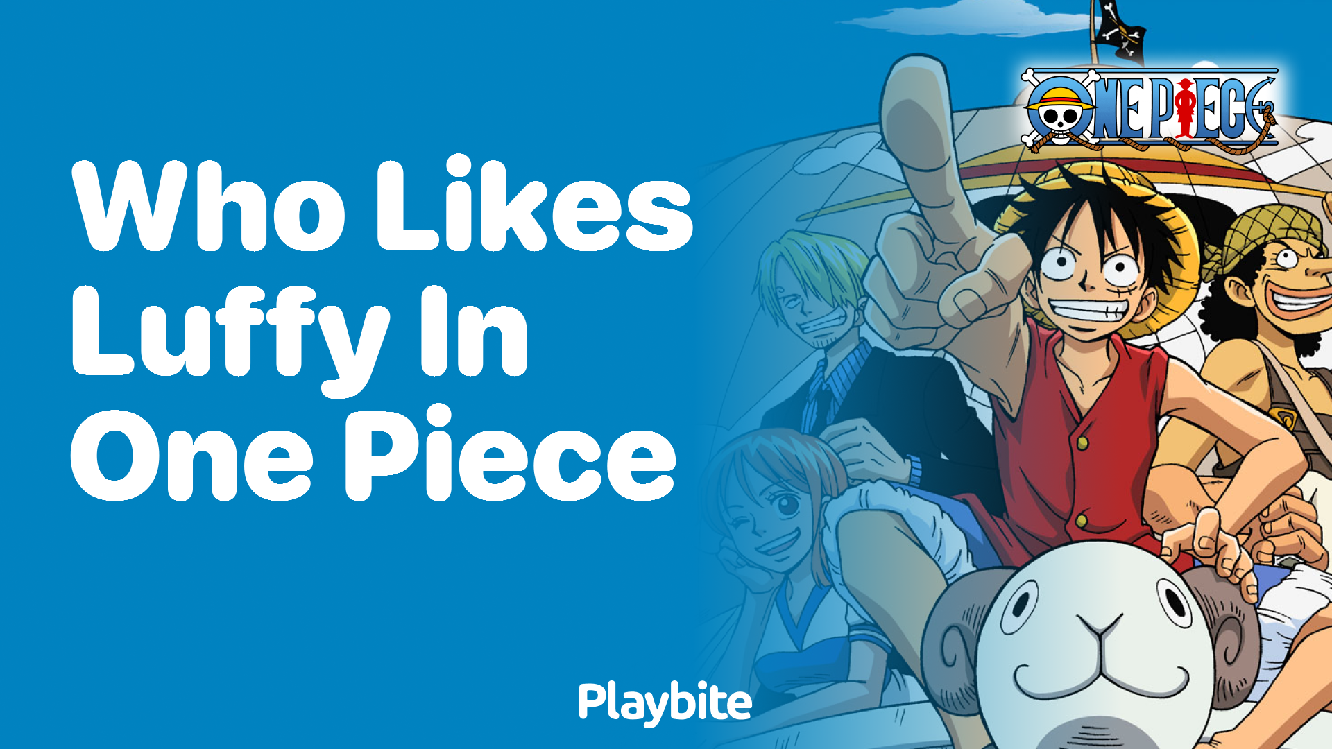Who Likes Luffy in One Piece?