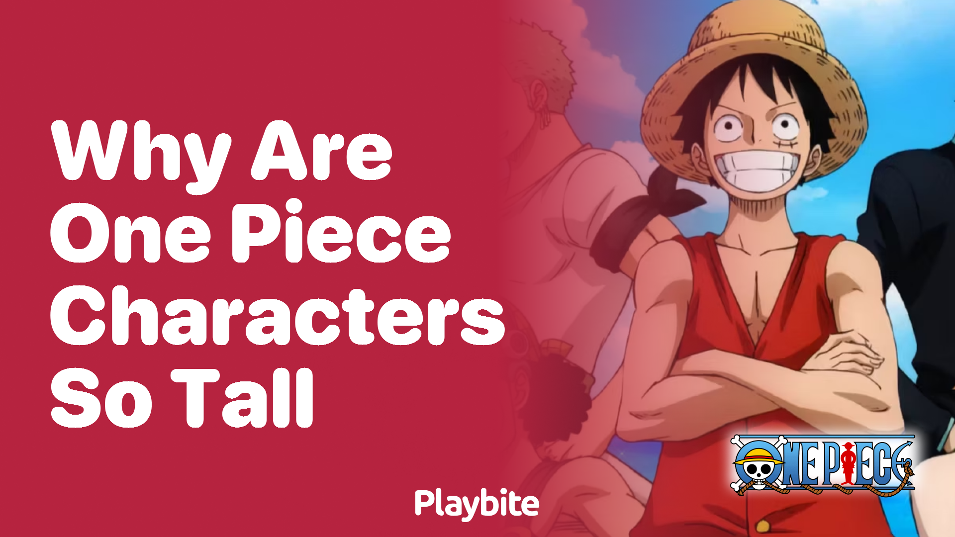Why Are One Piece Characters So Tall? Unraveling the Mystery