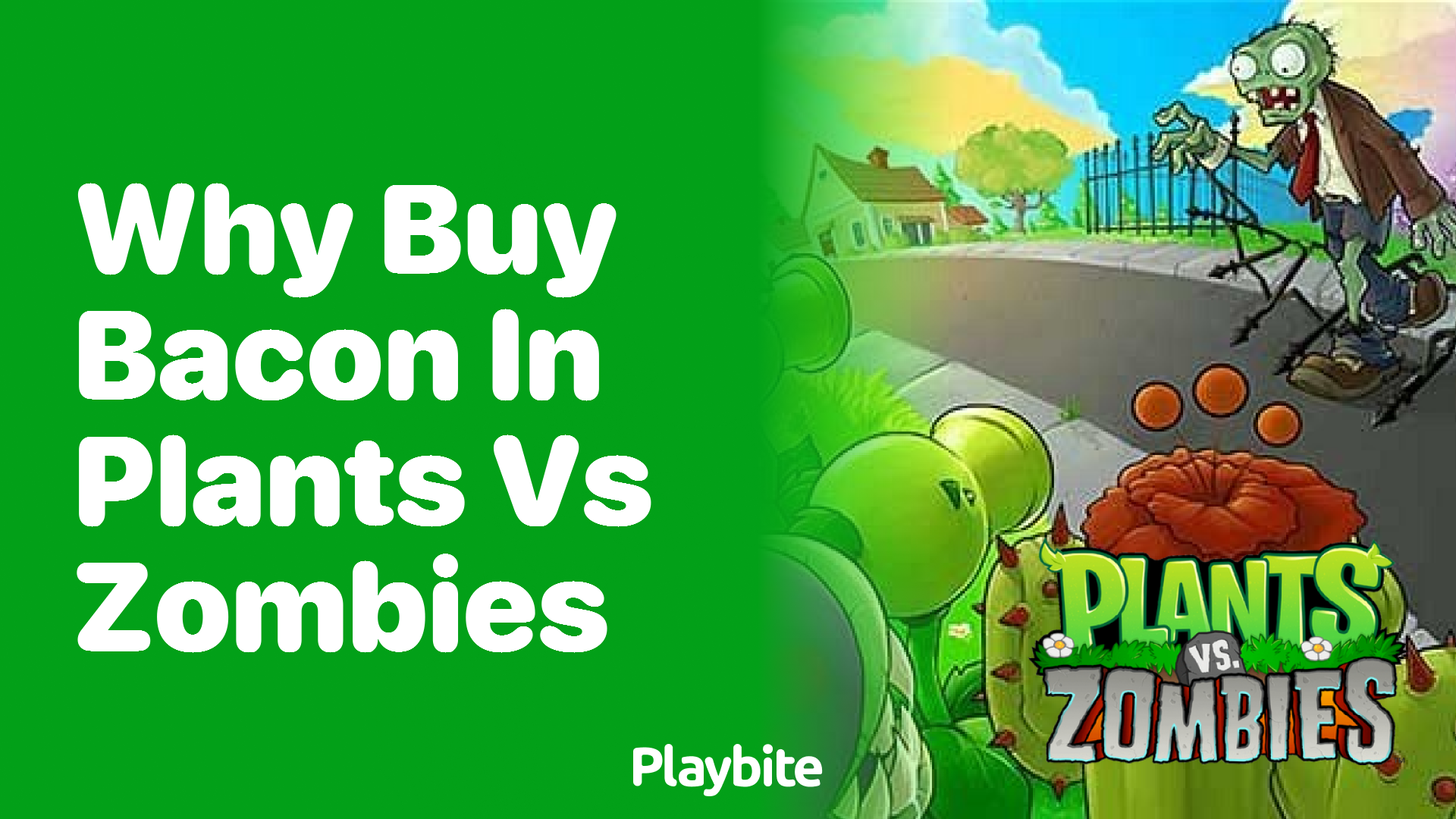 Why buy bacon in Plants vs Zombies? Playbite