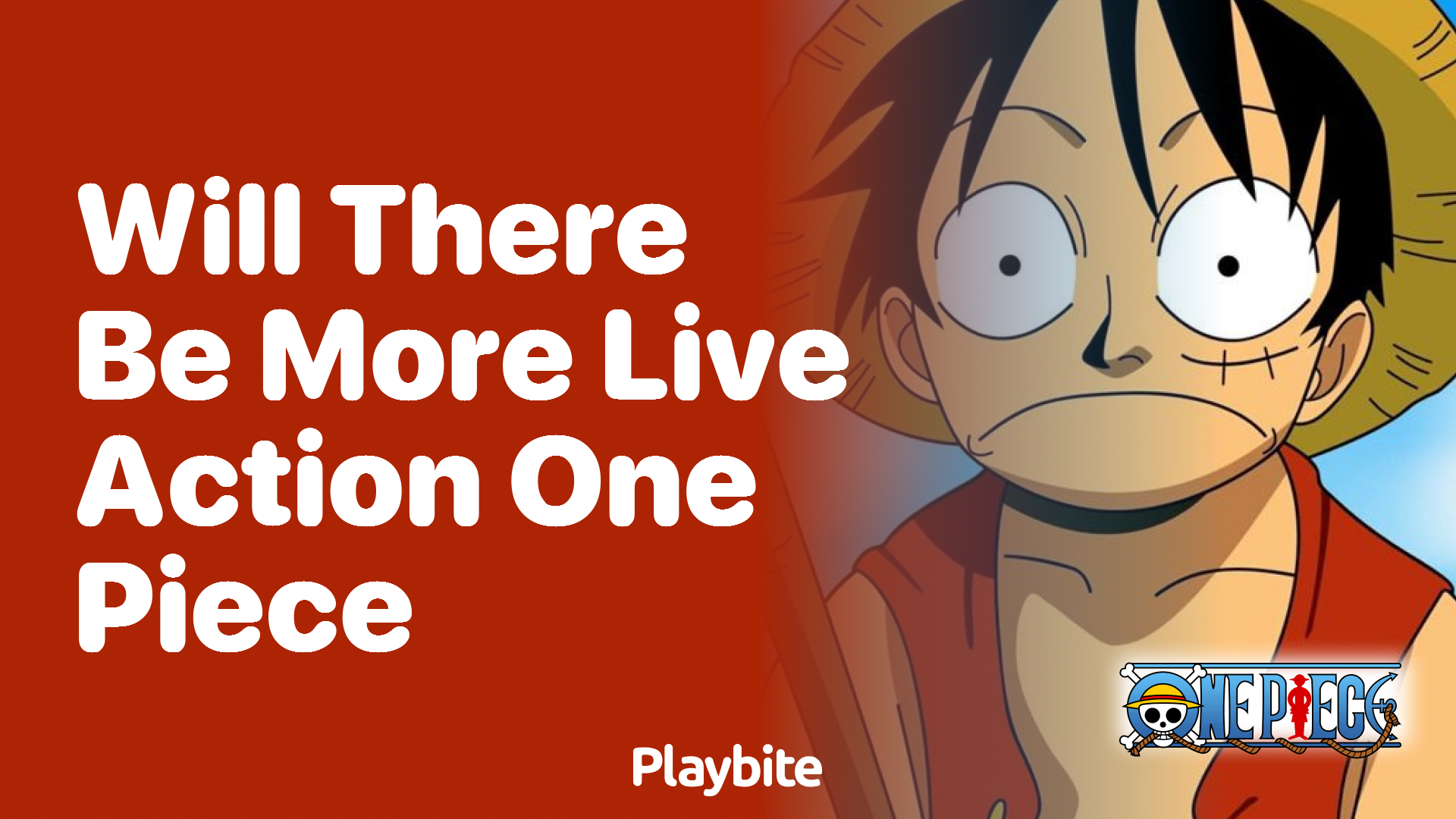 Will There Be More Live-Action One Piece?