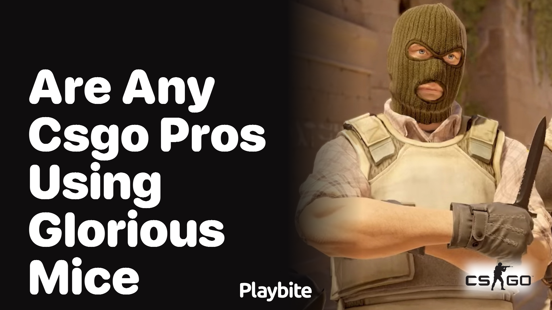 Are any CS:GO pros using Glorious mice?