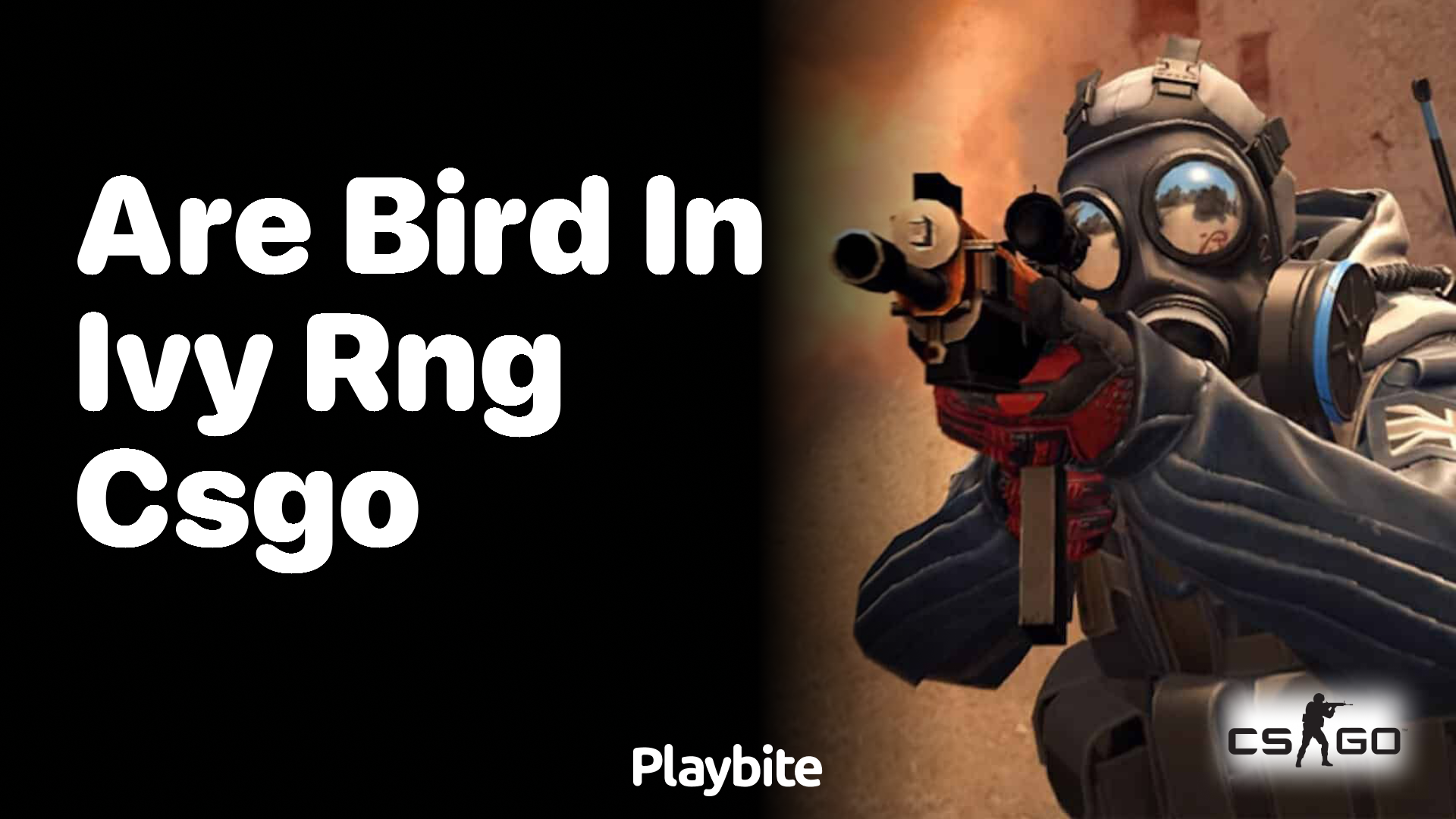 Are birds in Ivy RNG in CS:GO?