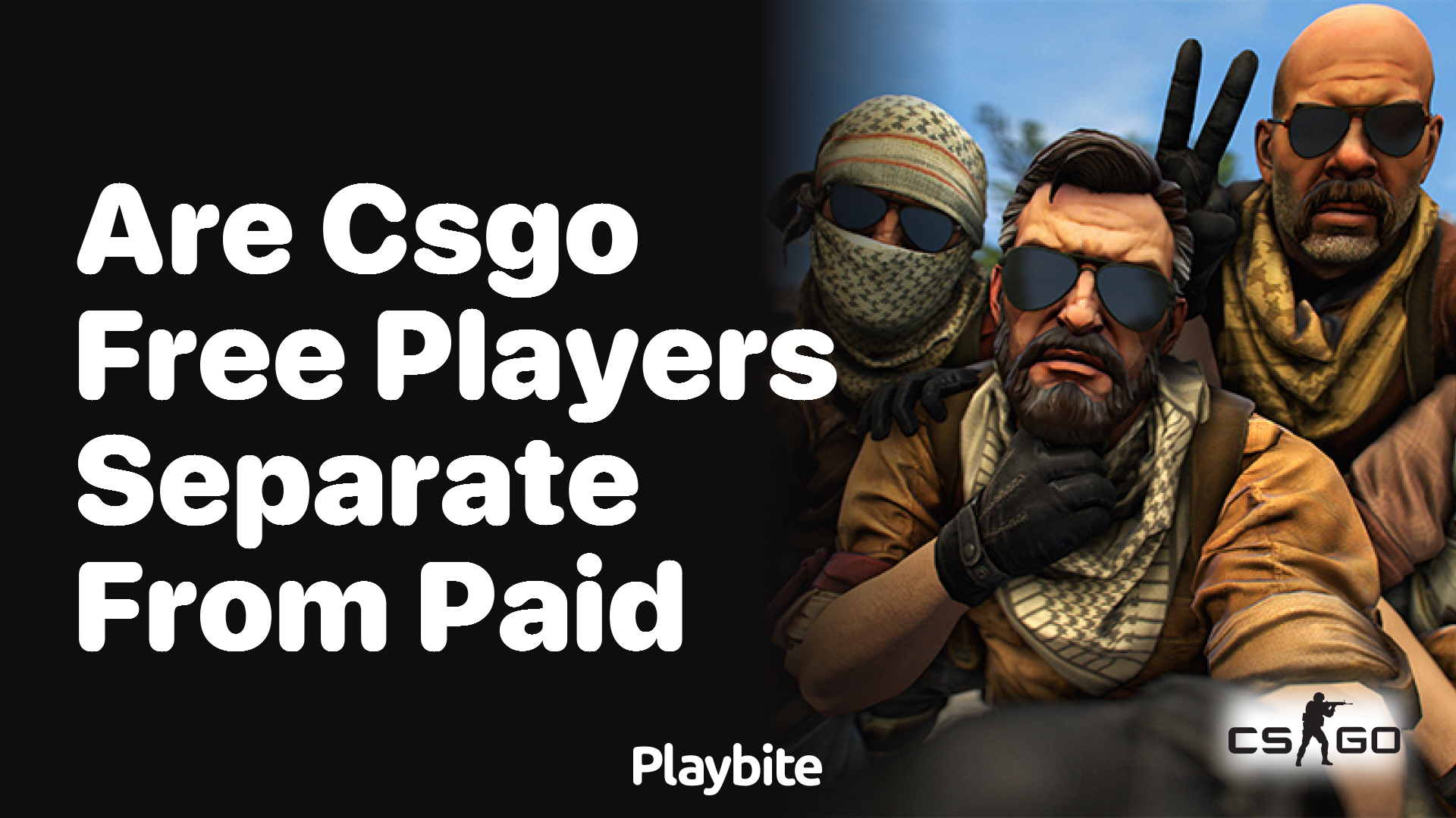 Are CS:GO Free Players Separate from Paid Players?