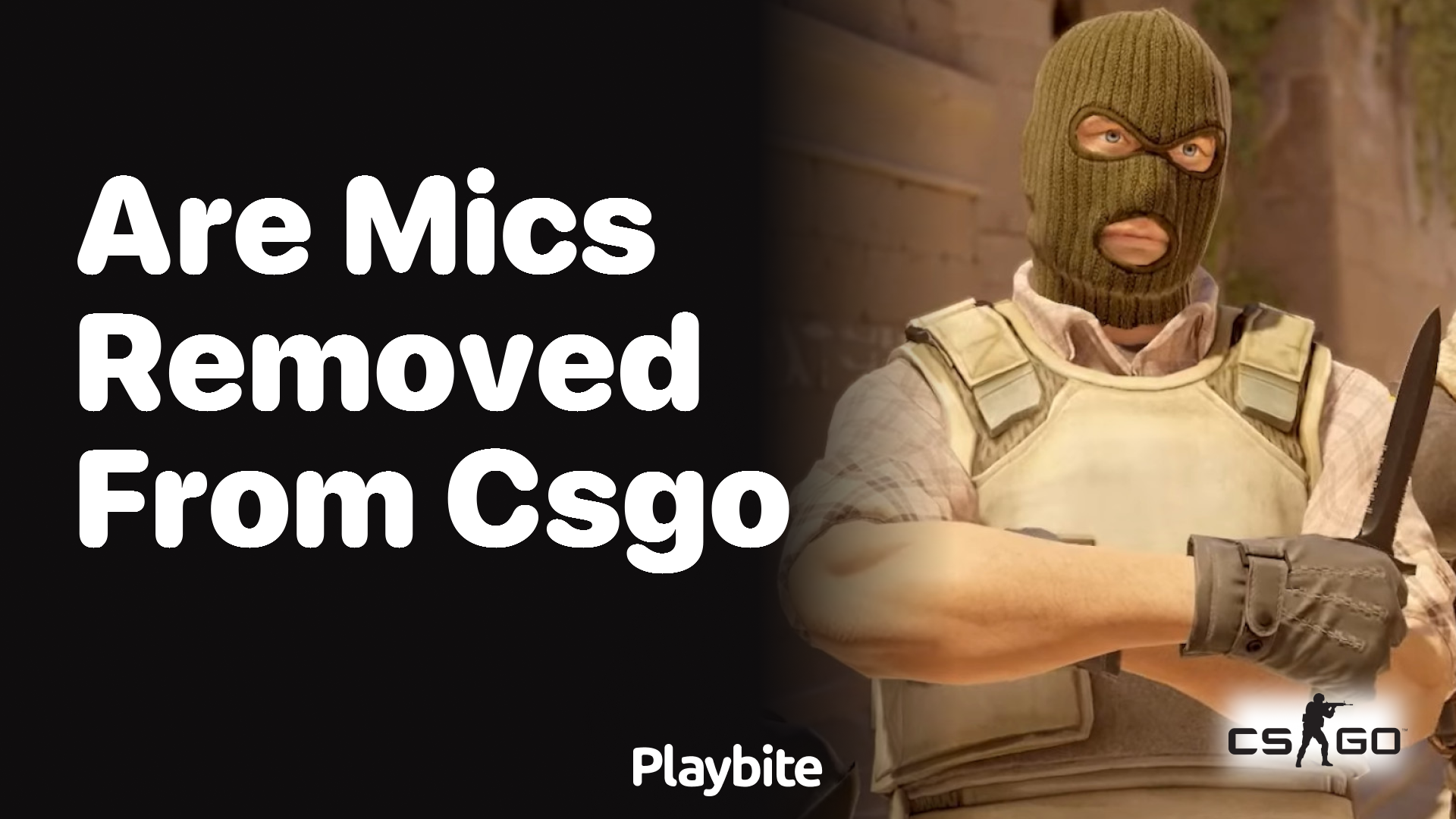 Are mics removed from CS:GO?