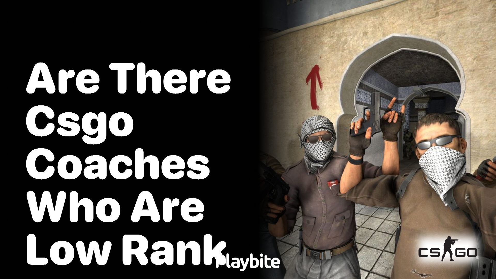 Are there CS:GO coaches who are low rank?