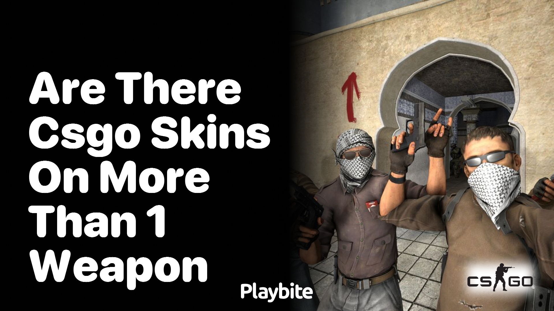 Are there CS:GO skins available for more than one weapon?