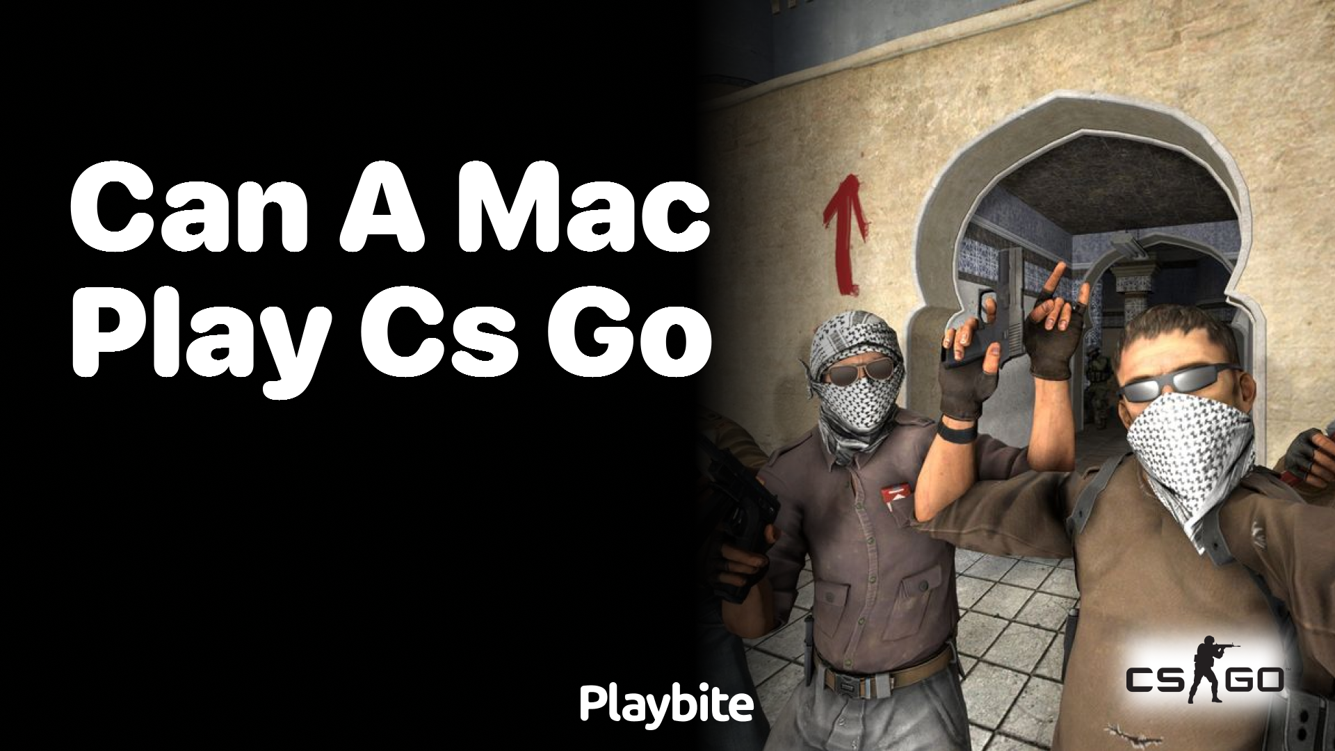 Can a Mac play CS:GO?