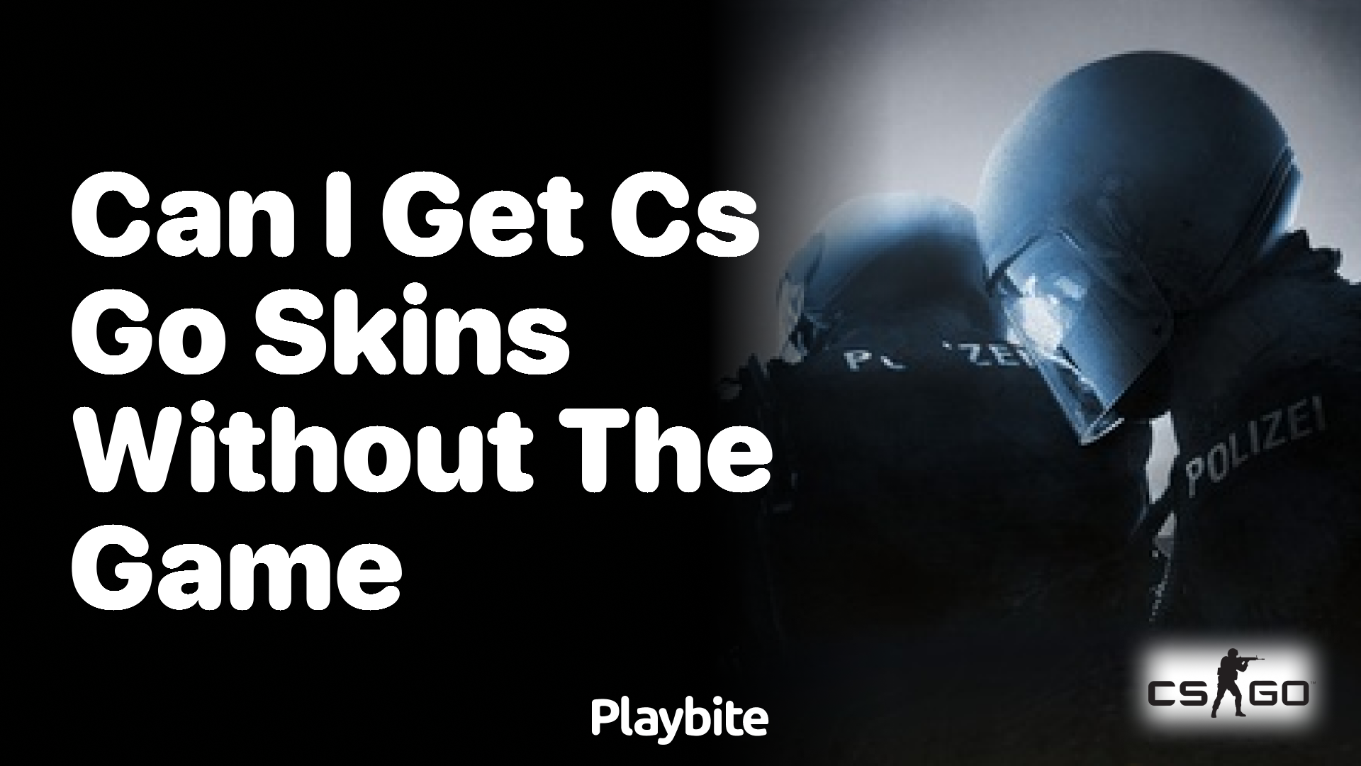 Can I get CS:GO skins without the game?