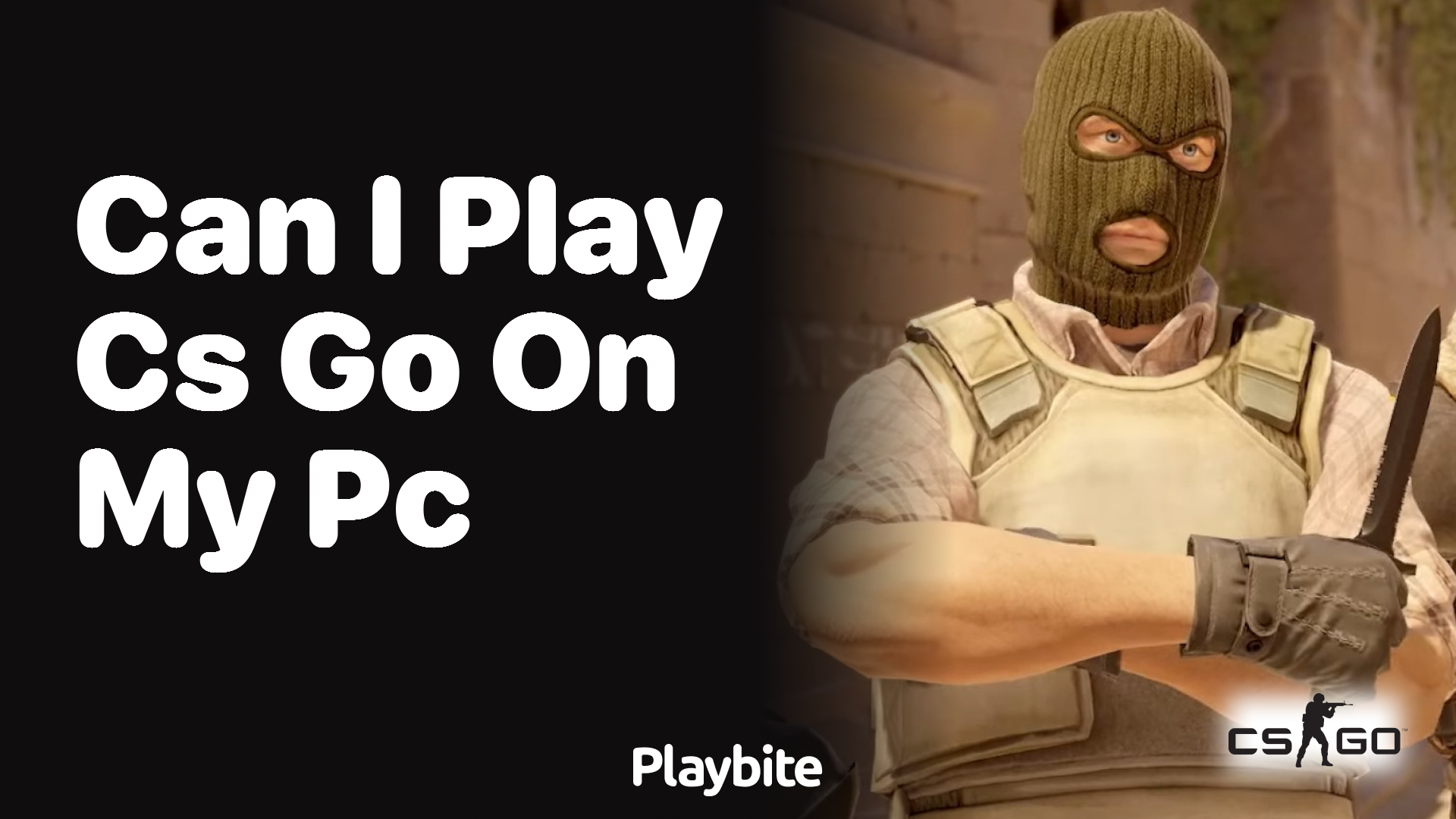 Can I play CS:GO on my PC?