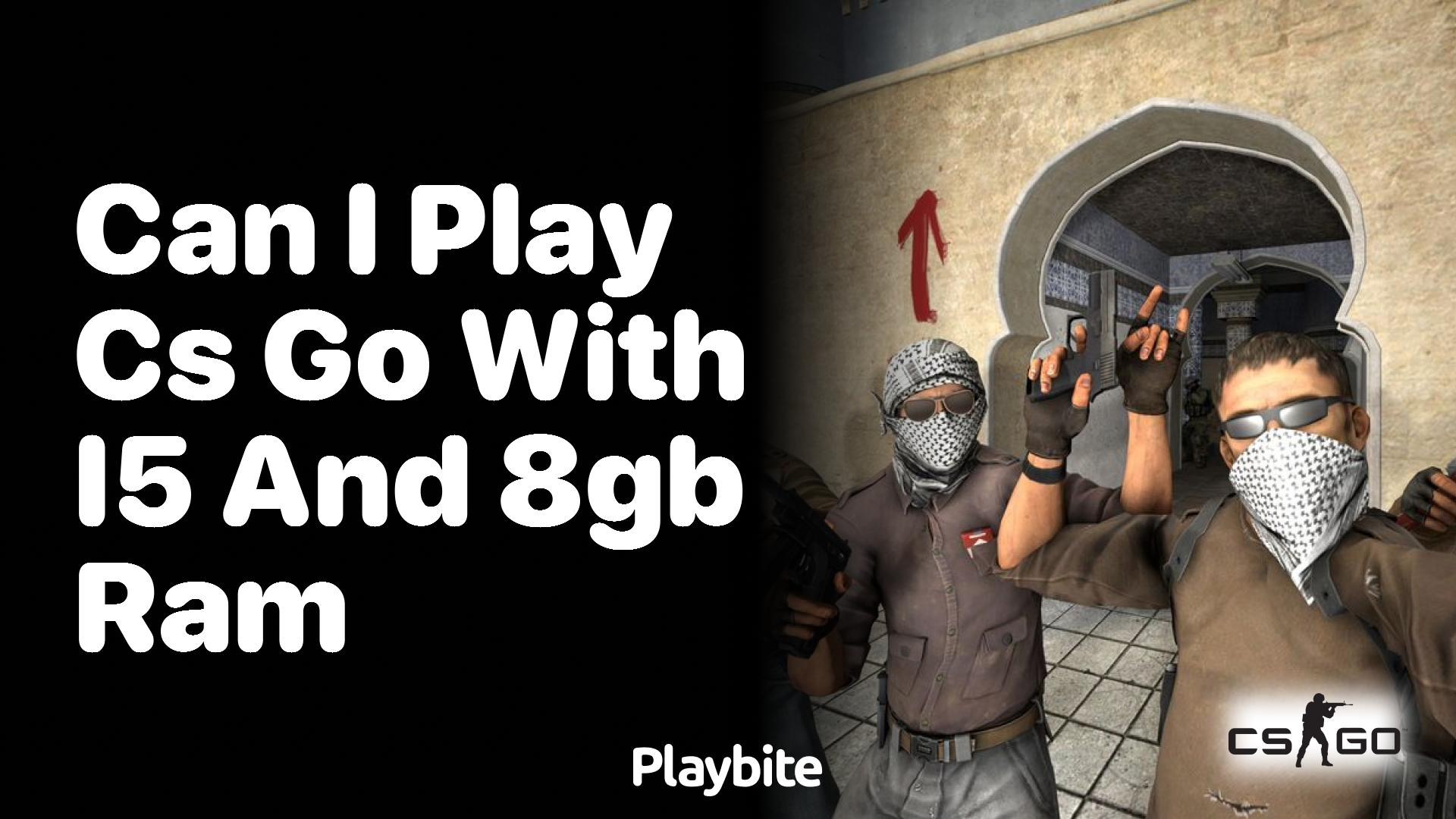 Can I play CS:GO with an i5 and 8GB RAM?