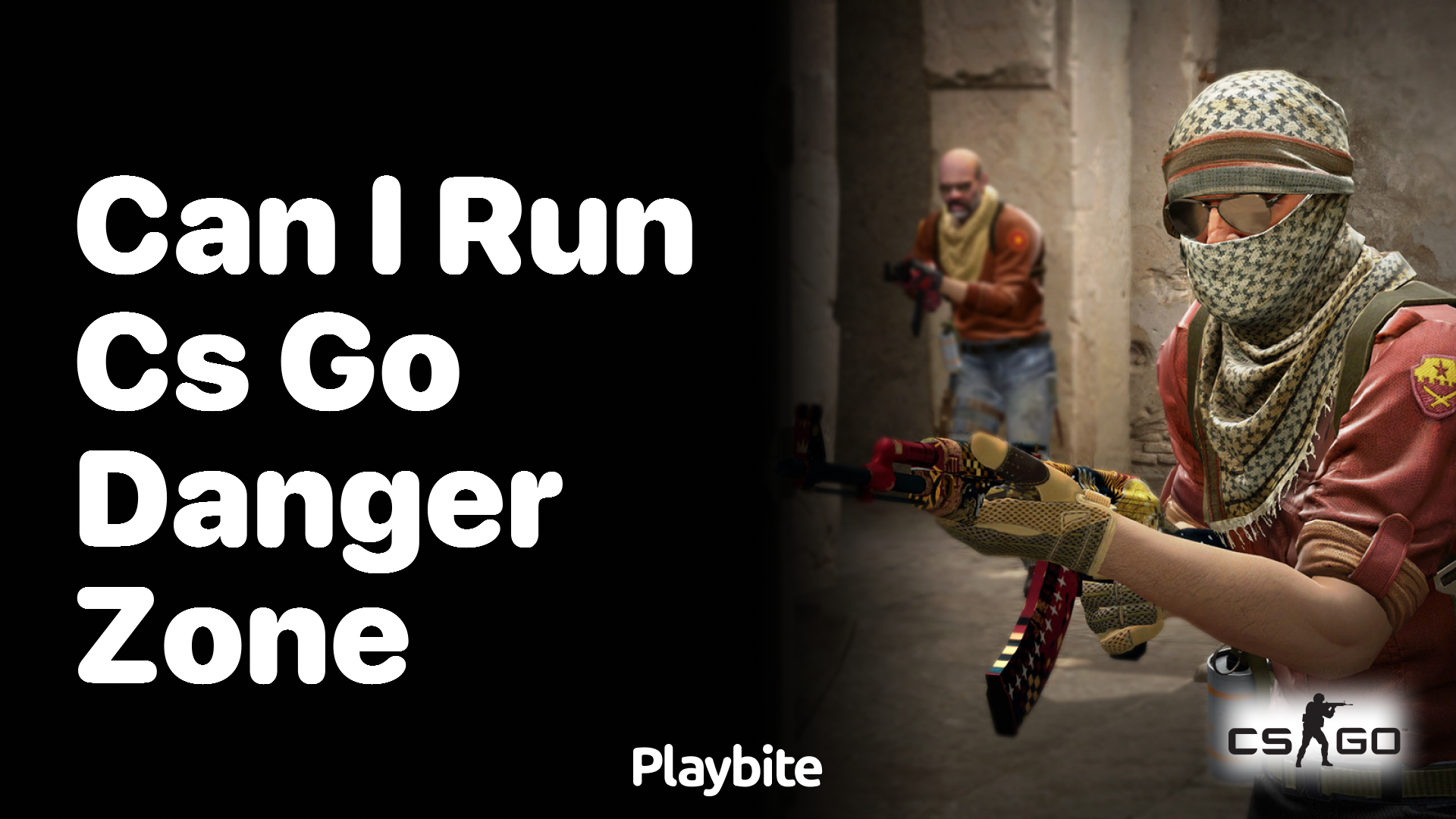 Can I run CS:GO Danger Zone?
