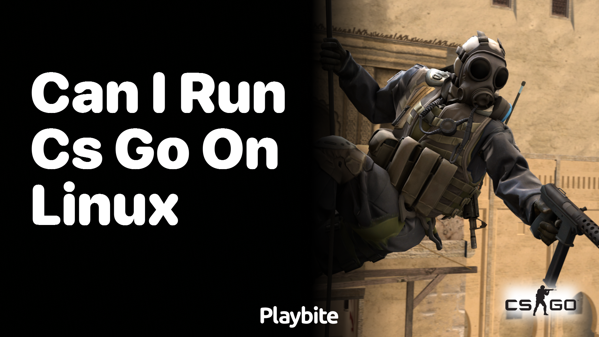 Can I run CS:GO on Linux?