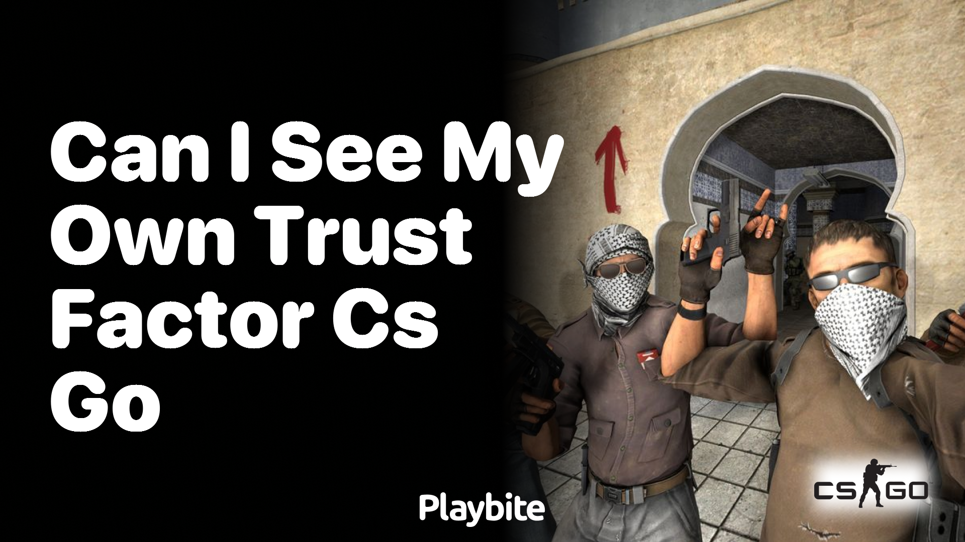 Can I see my own Trust Factor in CS:GO?