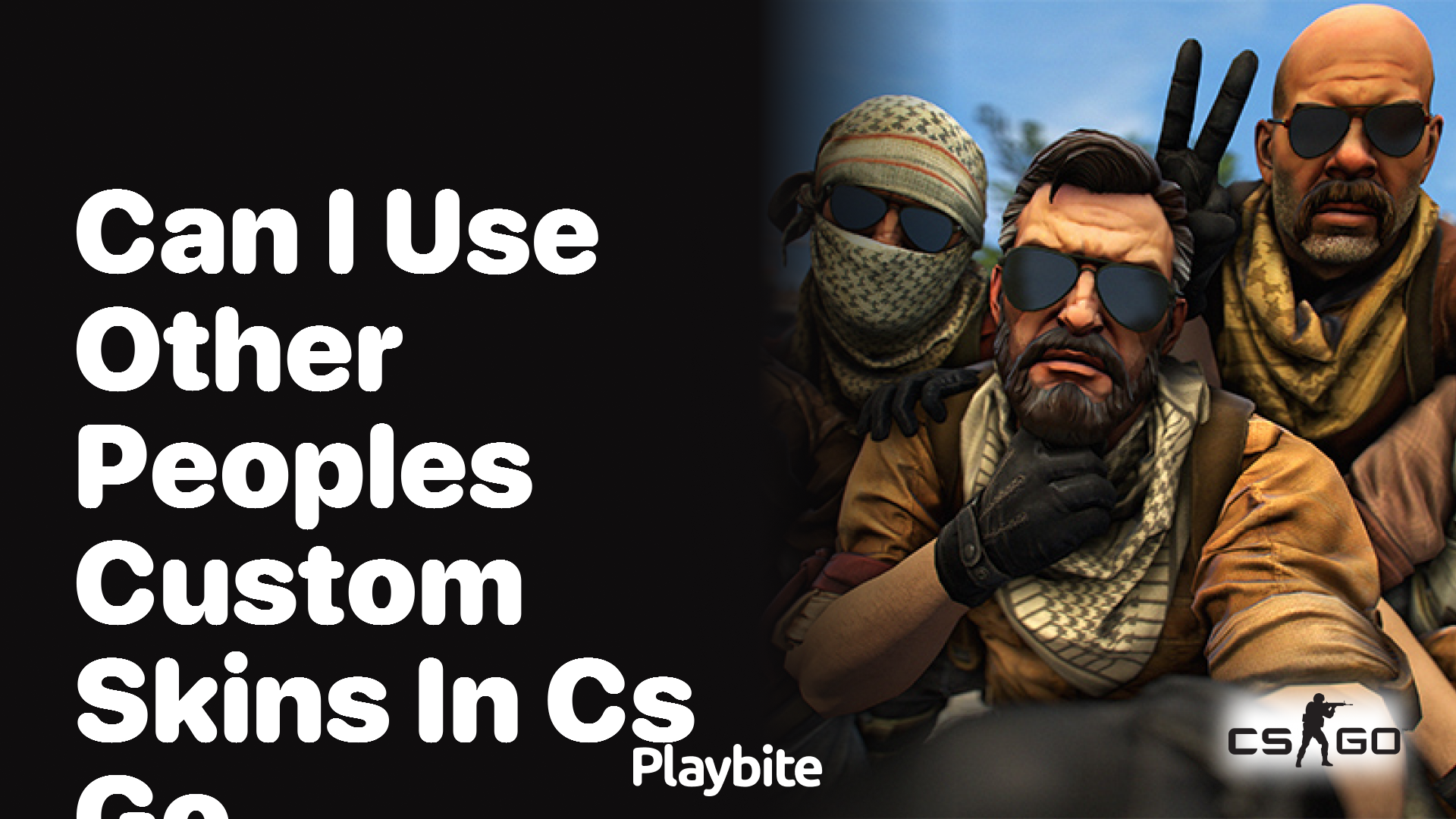 Can I Use Other People’s Custom Skins in CS:GO?