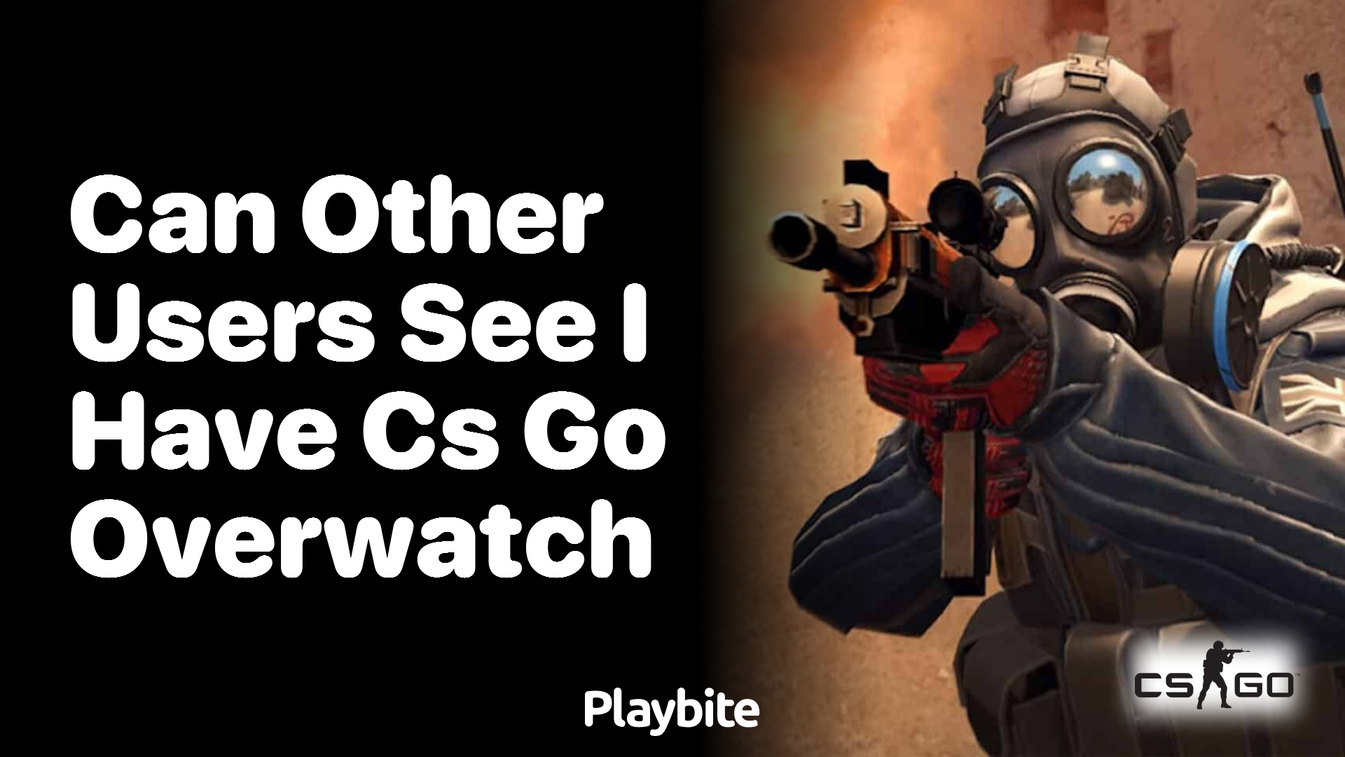 Can other users see if I have CS:GO Overwatch?