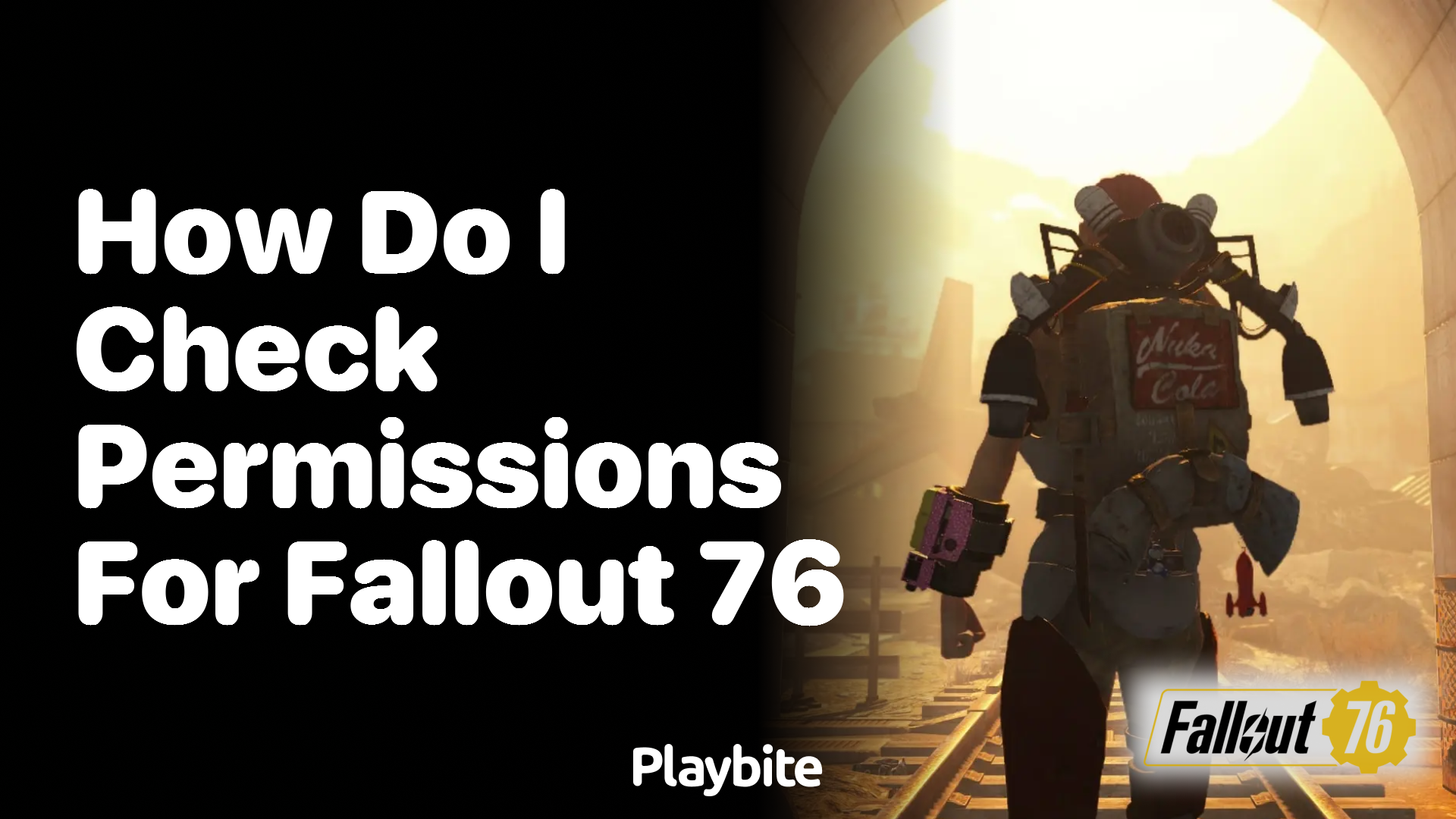 How do I check permissions for Fallout 76?