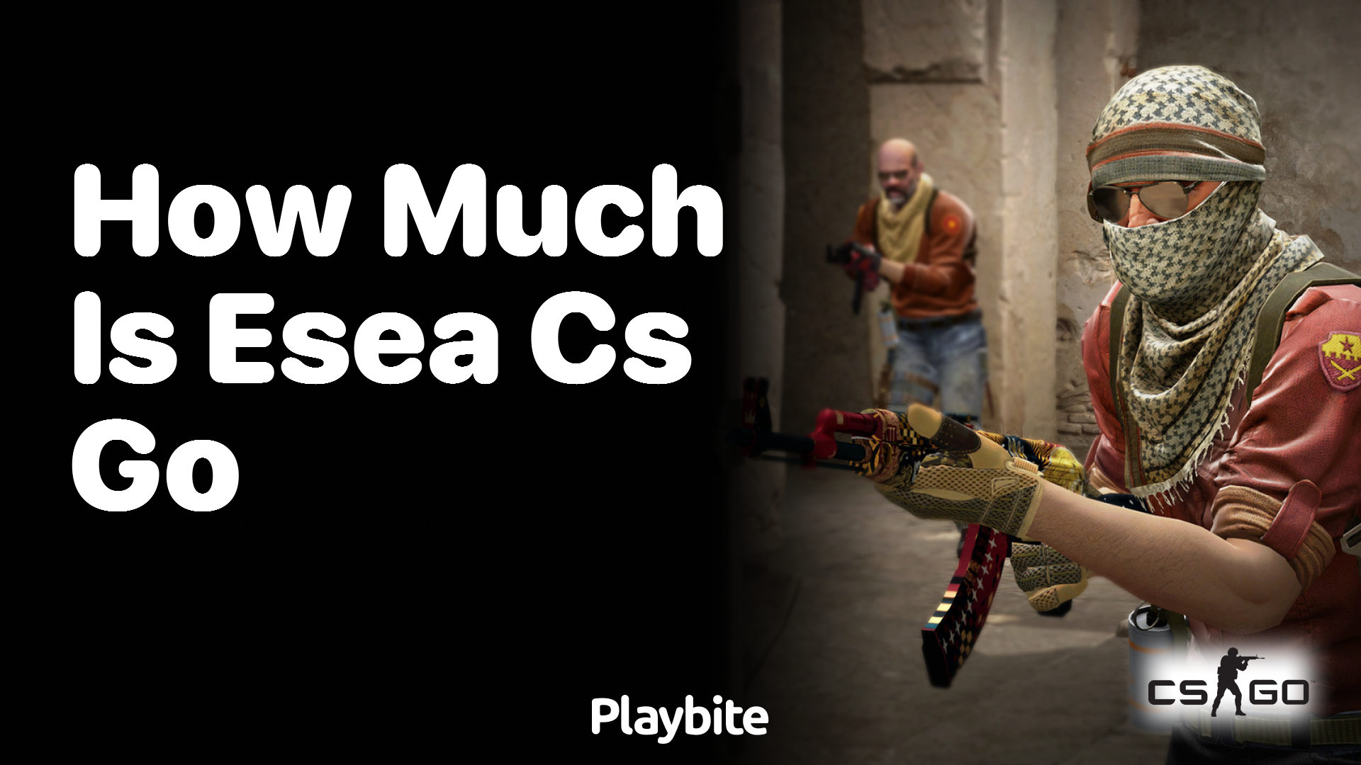 How much does ESEA CS:GO cost?