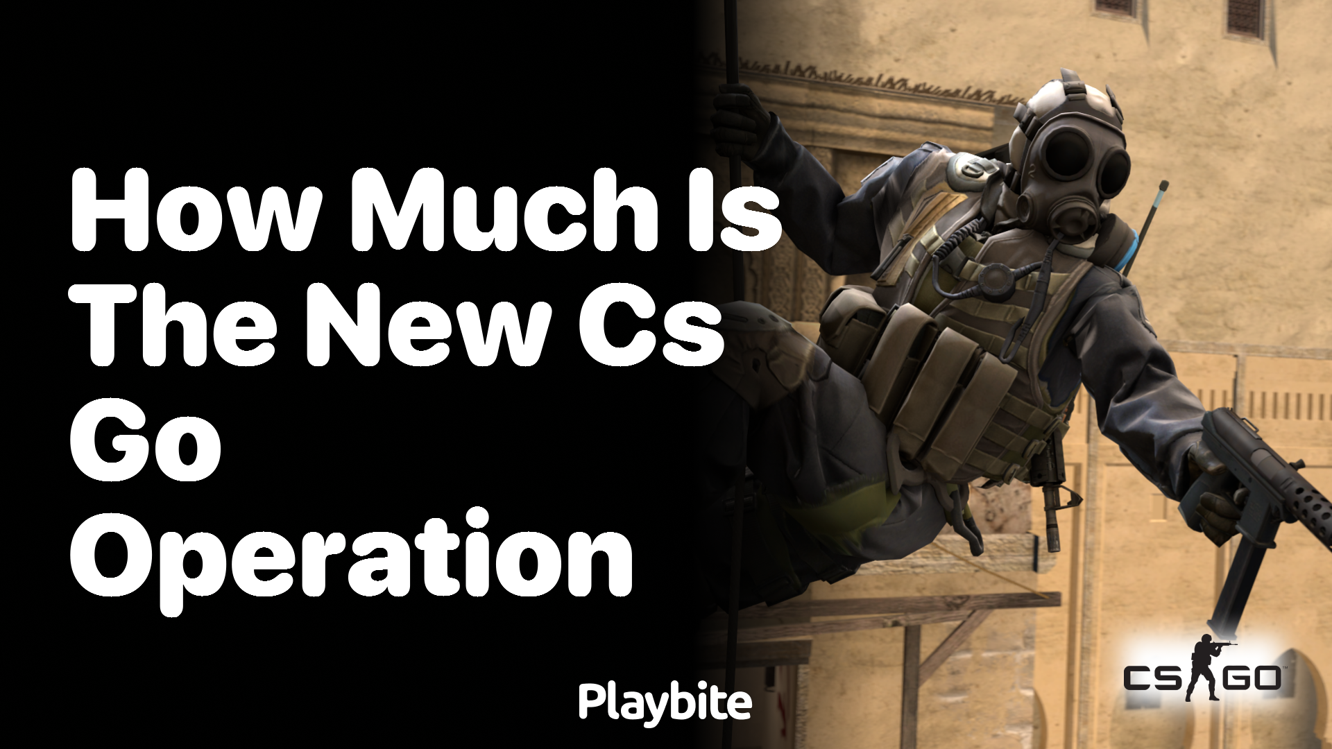 How much does the new CS:GO operation cost?