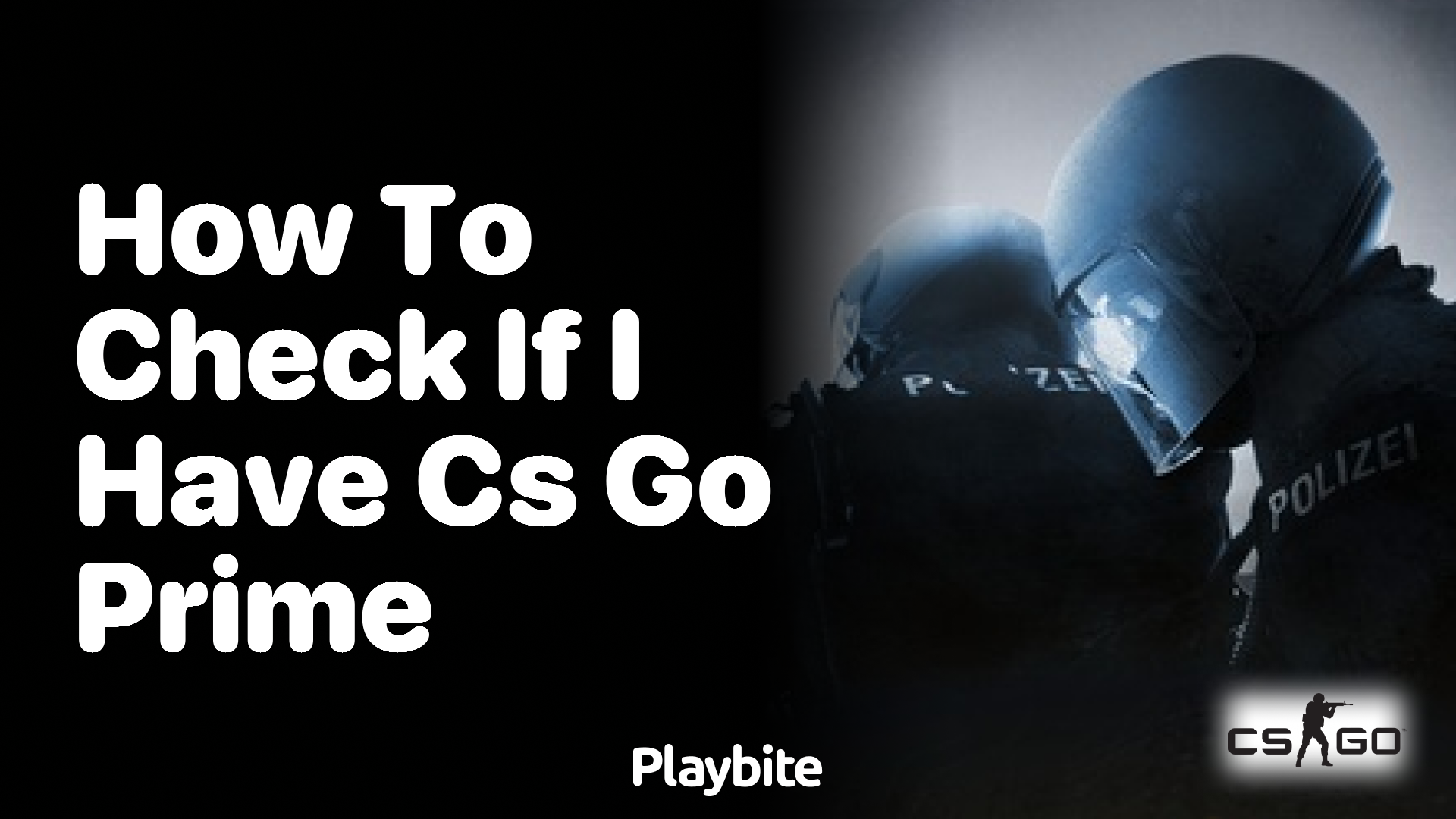 How to check if I have CS:GO Prime