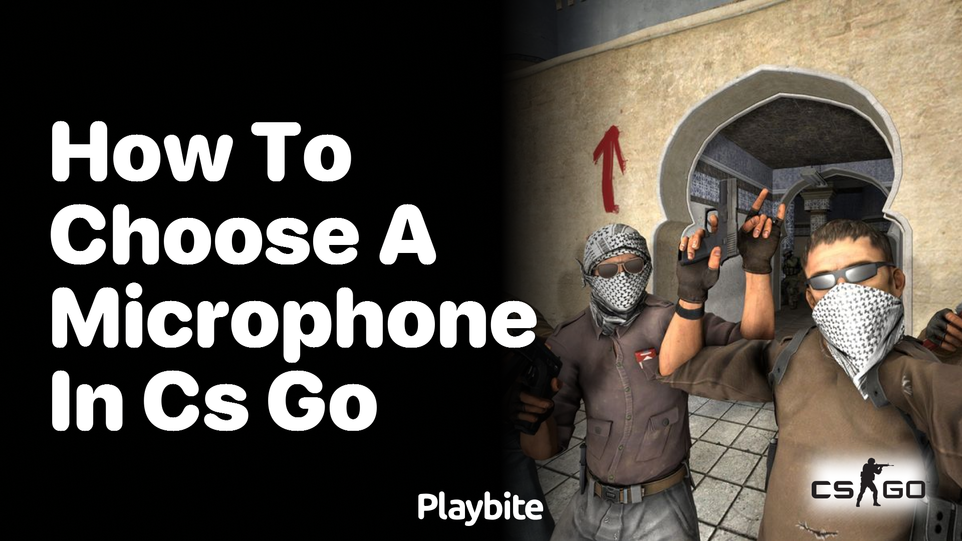 How to choose a microphone in CS:GO