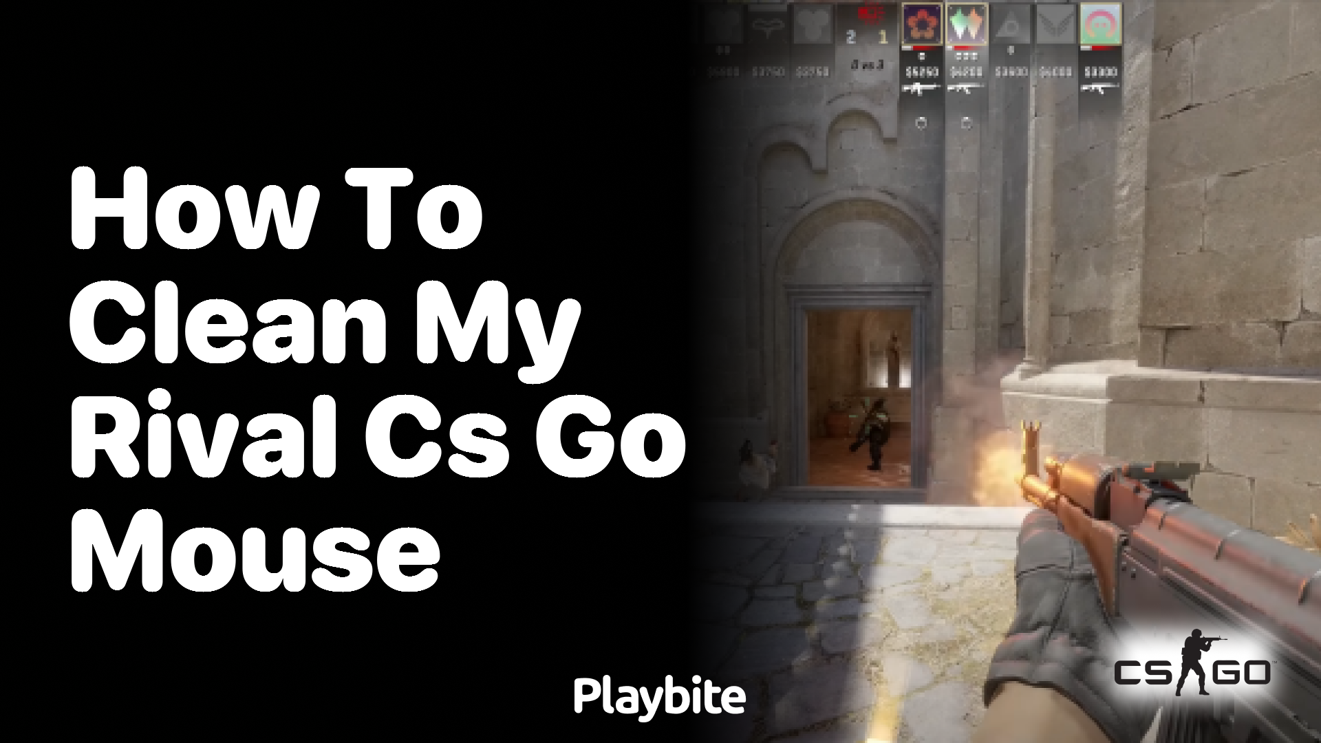 How to Clean My Rival CS:GO Mouse