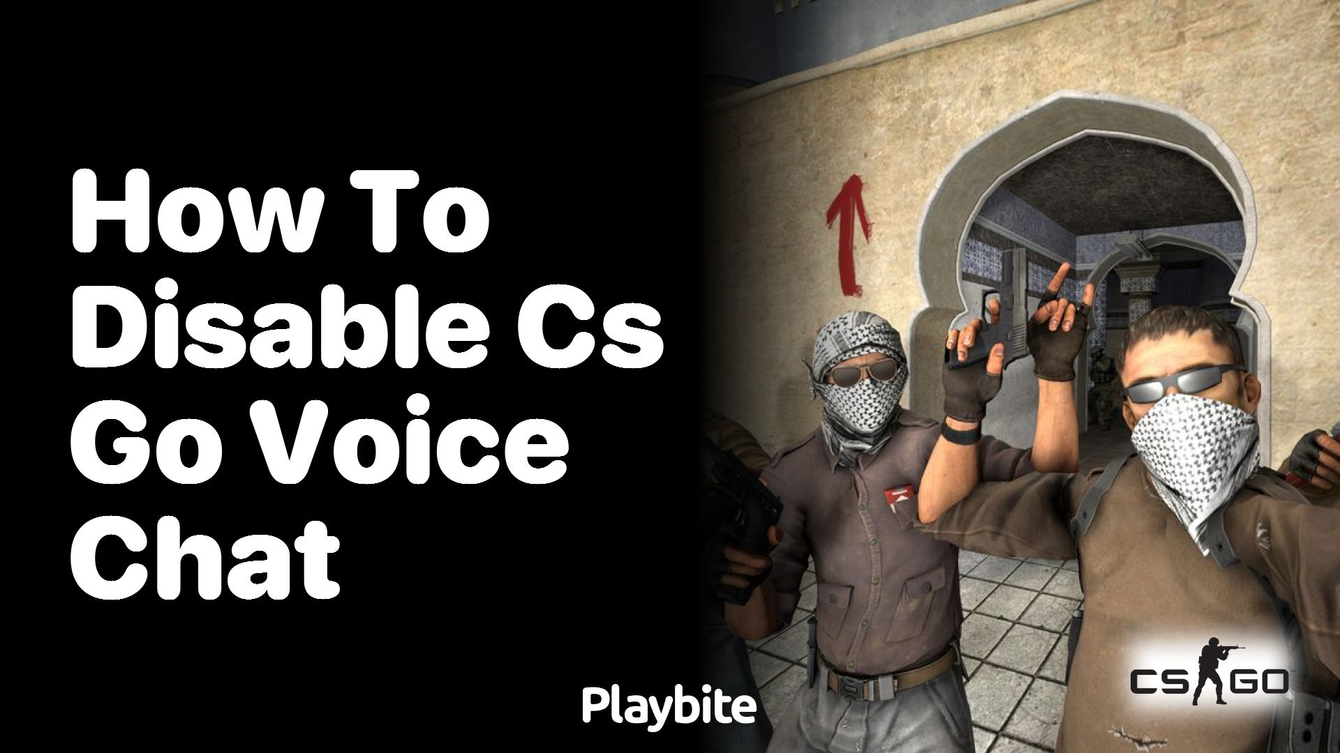 How to disable CS:GO voice chat