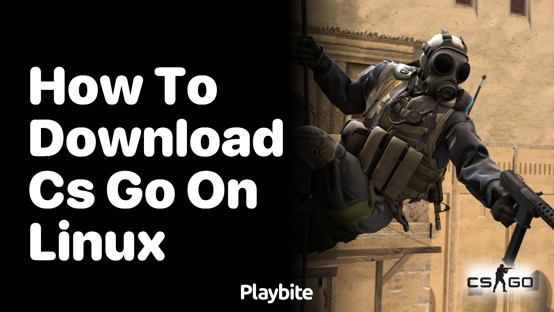 How to Download CS:GO on Linux