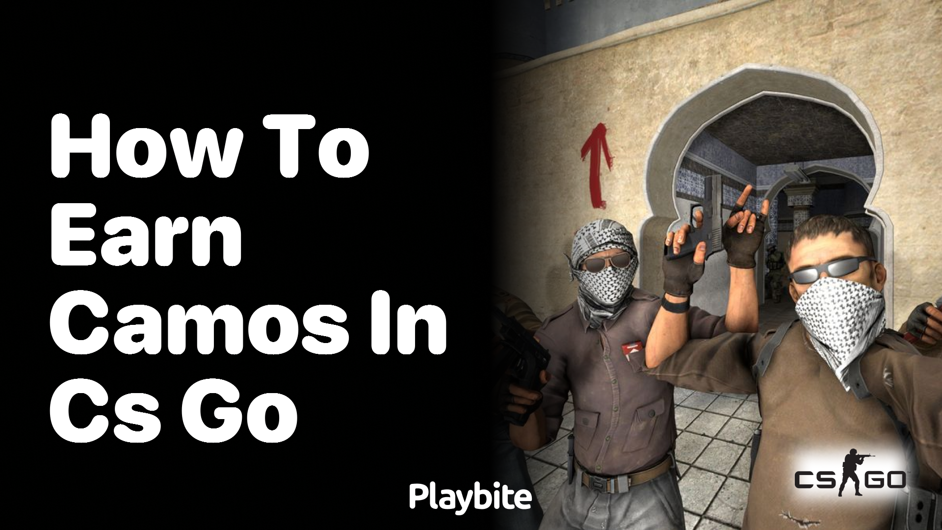 How to earn camos in CS:GO?
