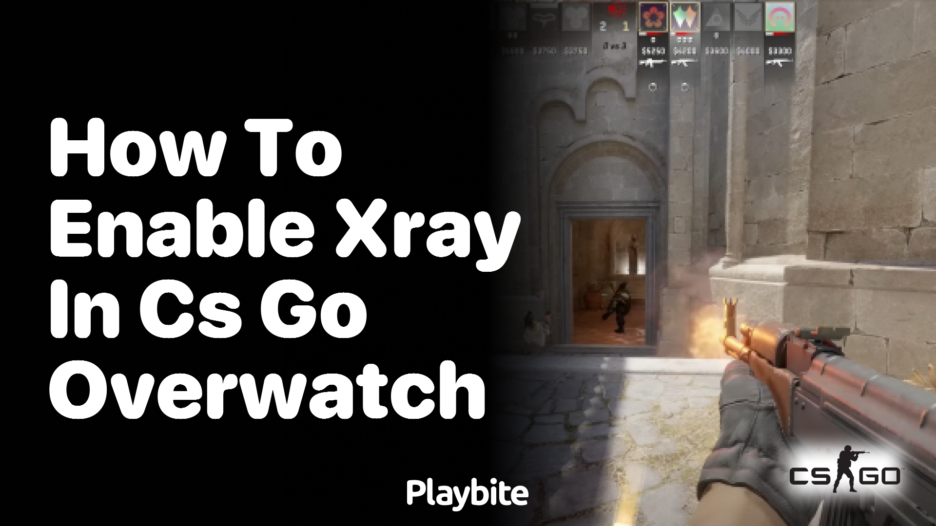 How to enable X-Ray in CS:GO Overwatch?