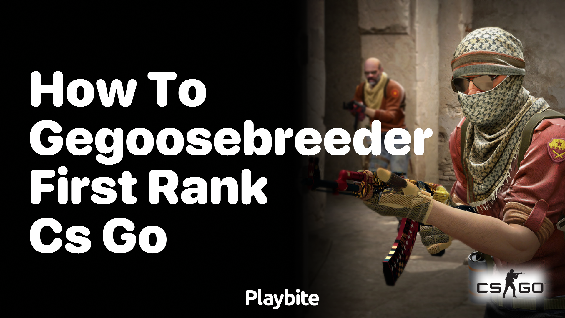 How to get Goosebreeder’s first rank in CS:GO?