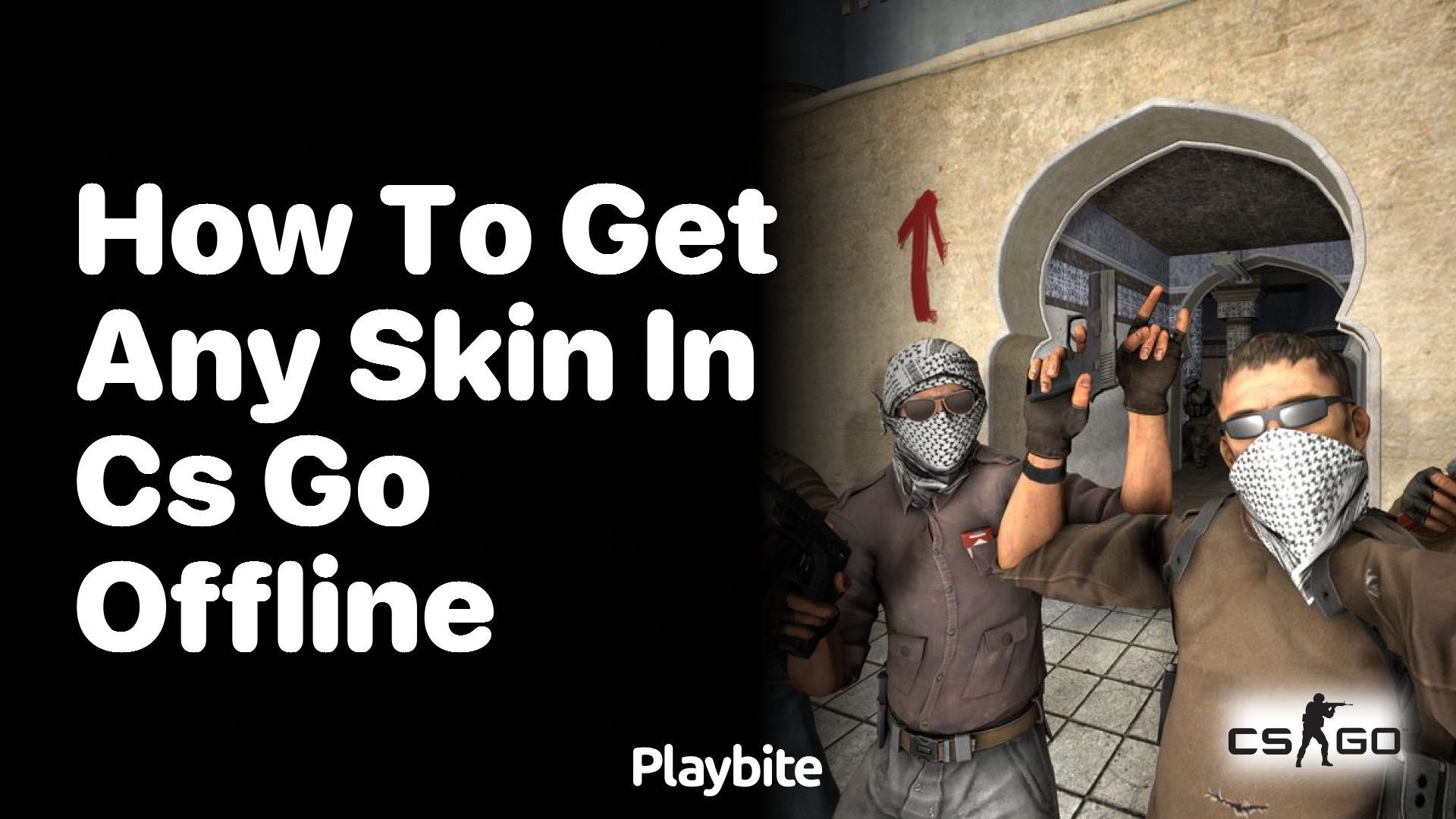How to get any skin in CS:GO offline