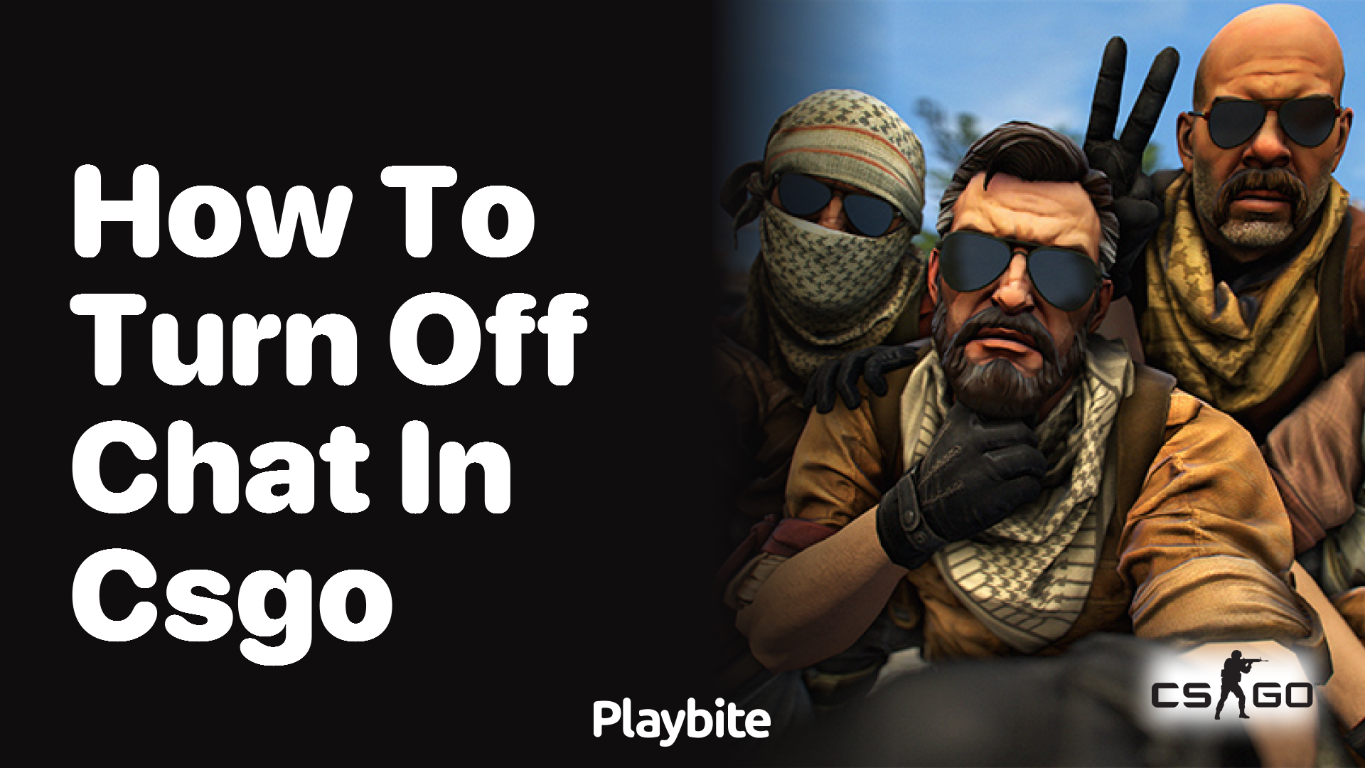 How to turn off chat in CSGO Playbite