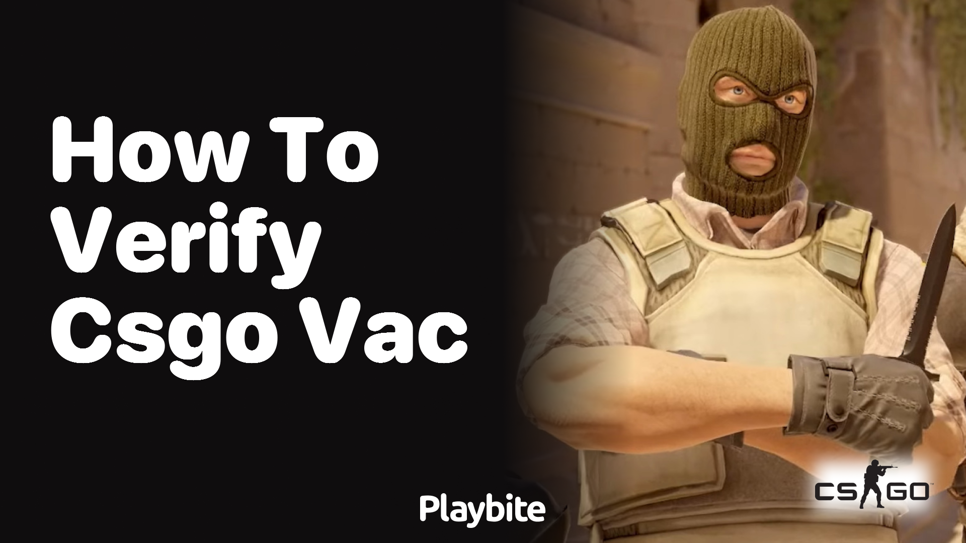 How to Verify CS:GO VAC Status