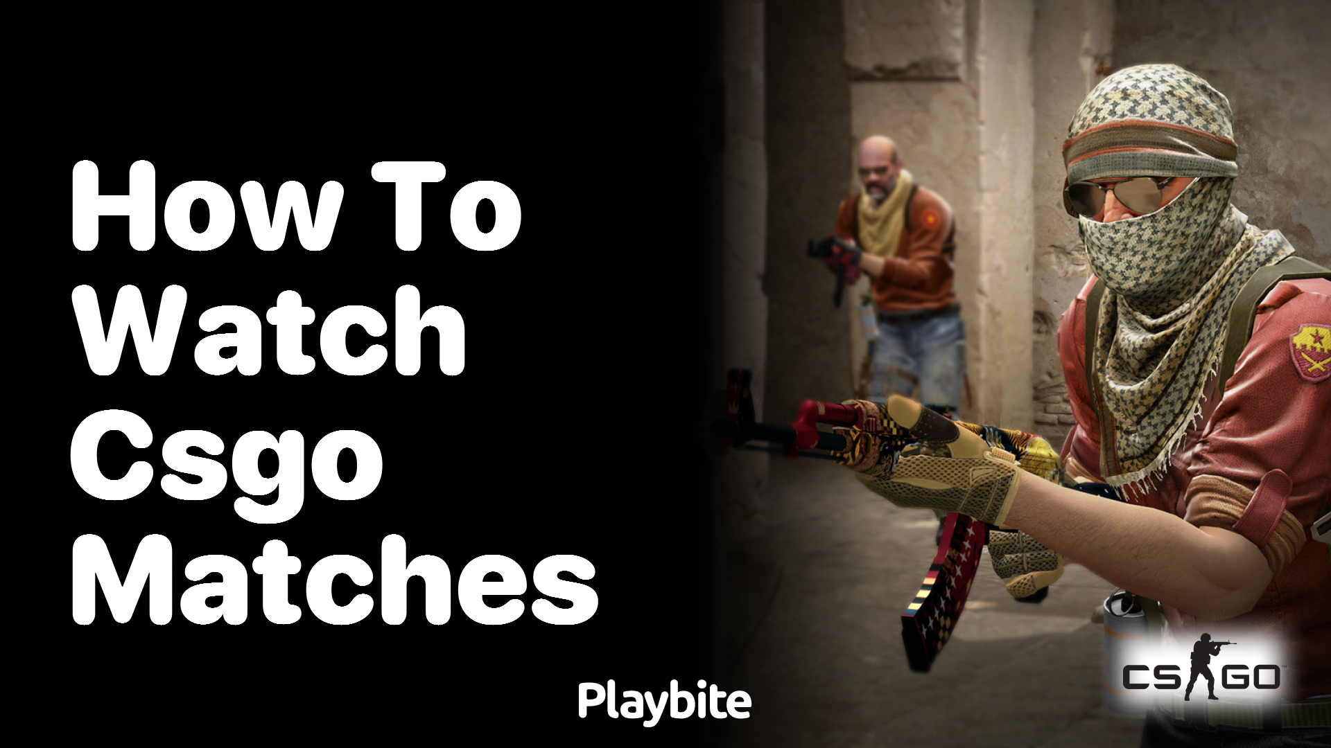 How to Watch CS:GO Matches