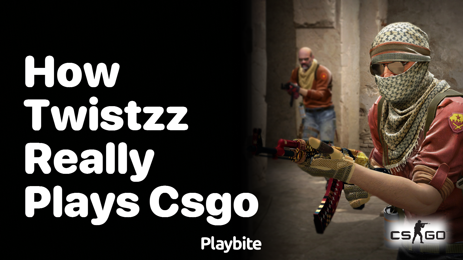 How does Twistzz really play CS:GO?