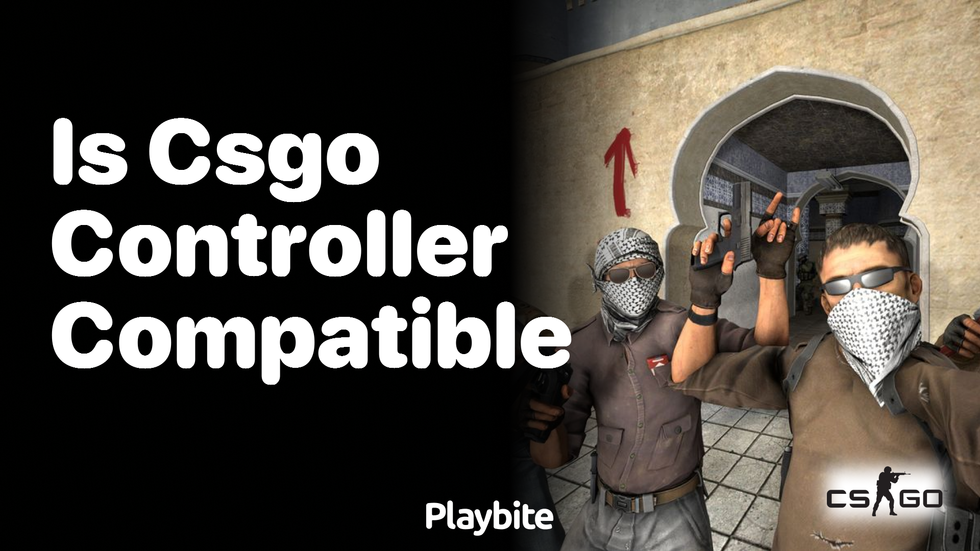 Is CS:GO Controller Compatible?