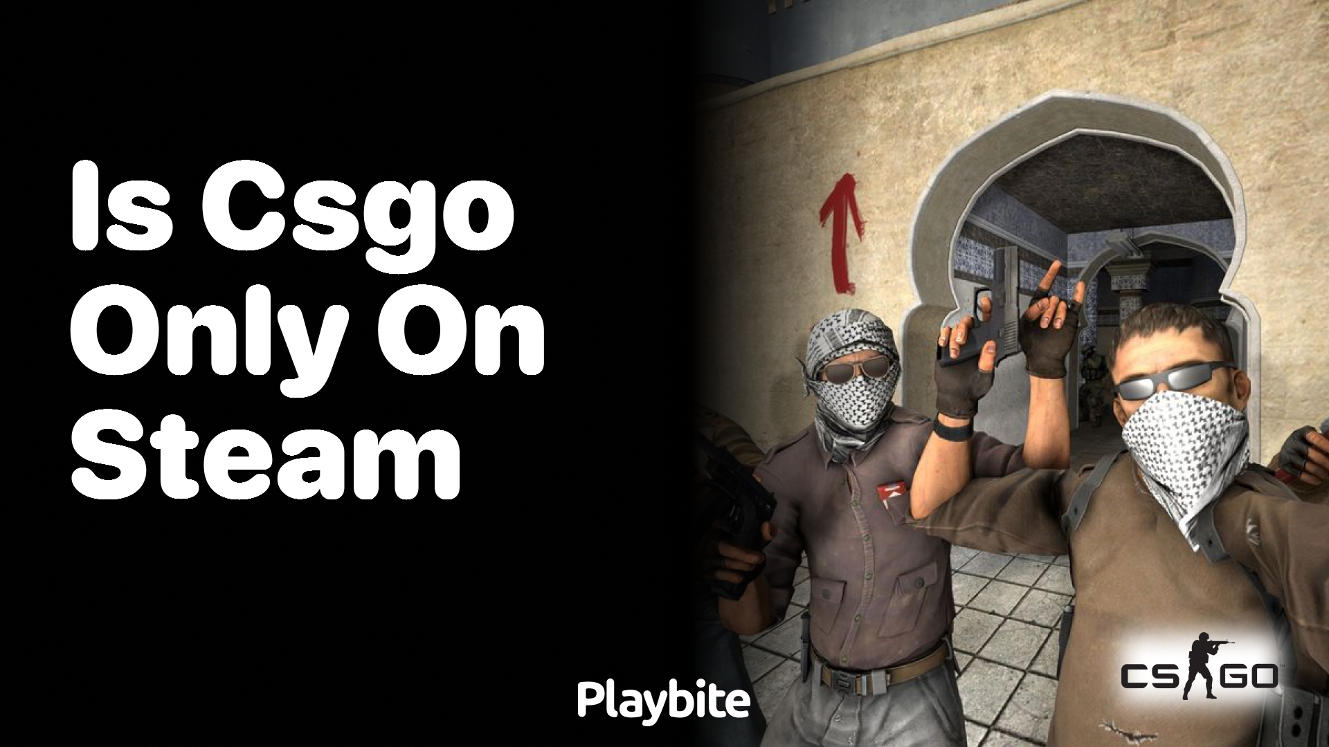 Is CS:GO only available on Steam?