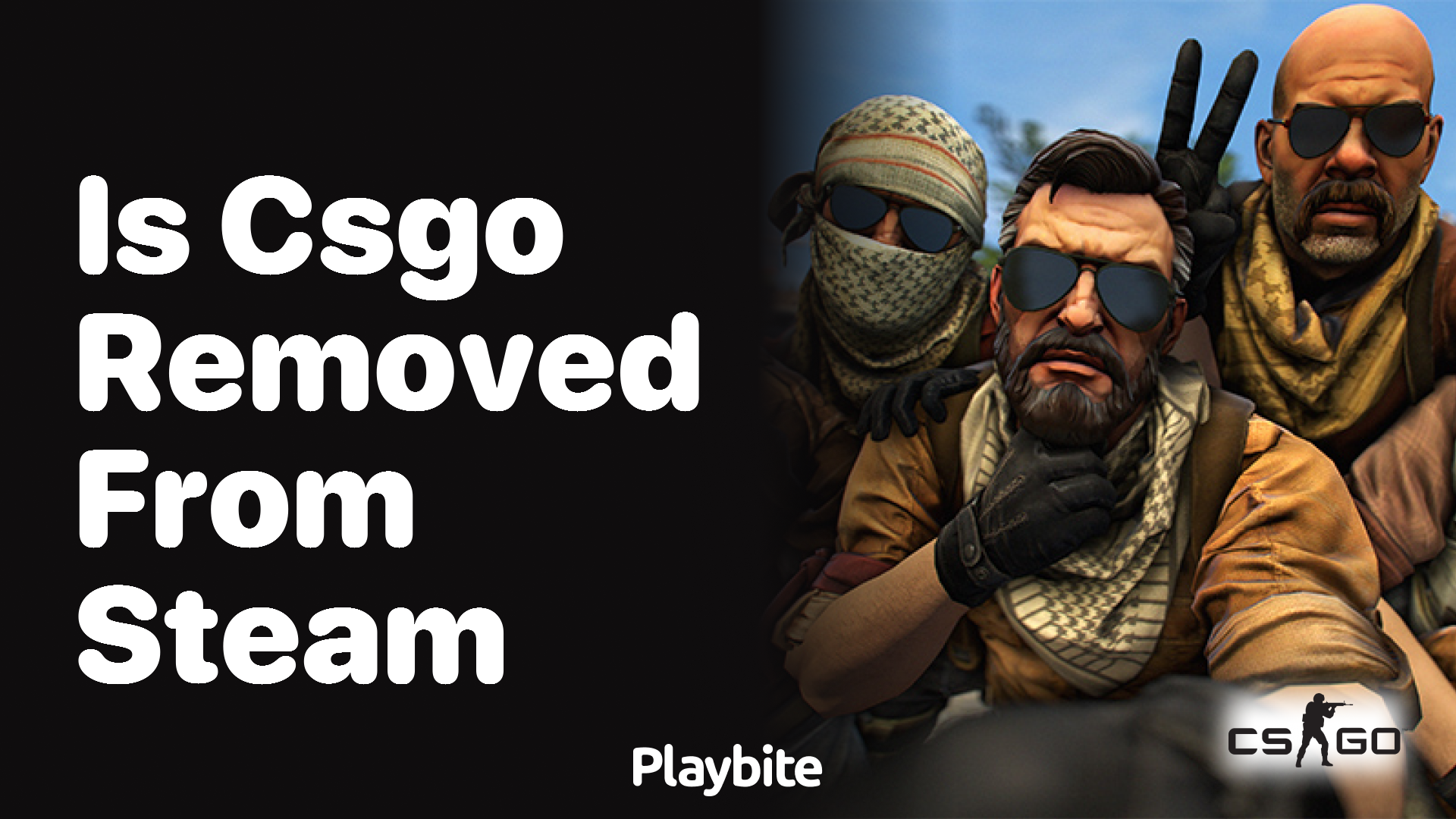 Is CS:GO removed from Steam?
