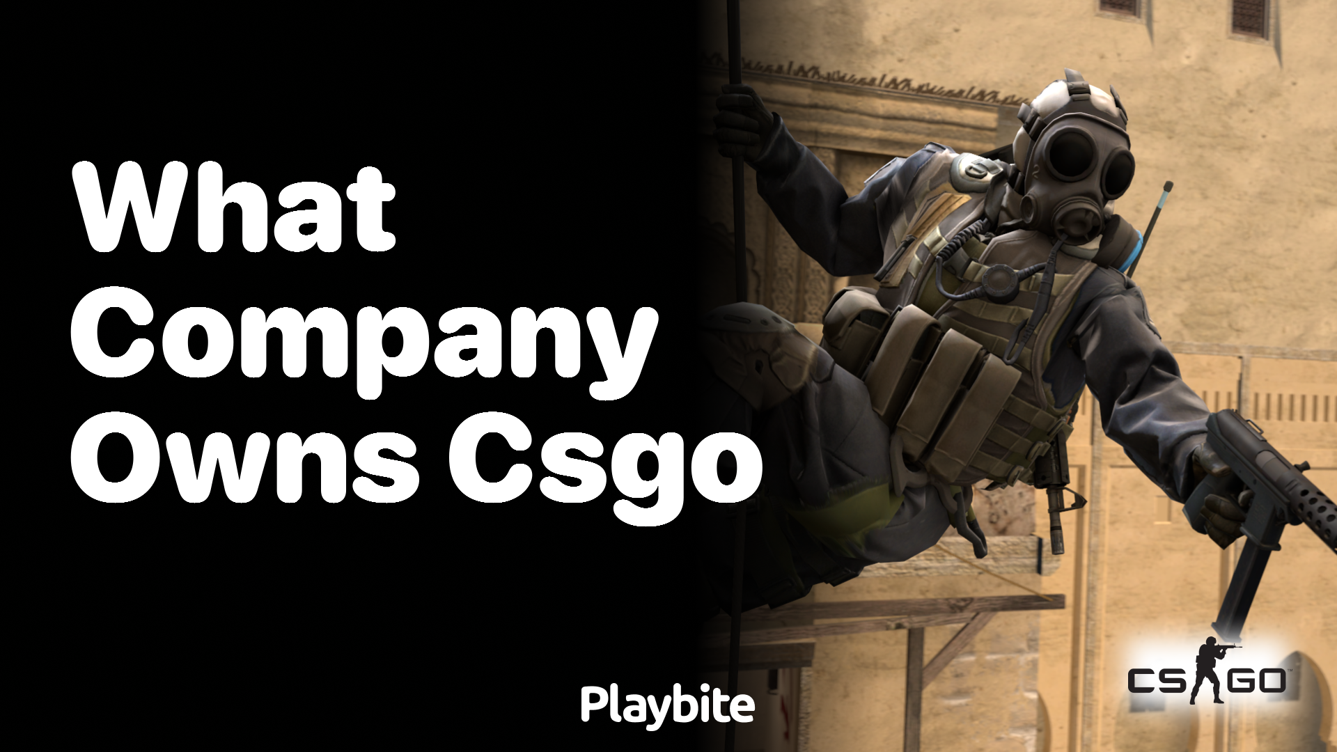What company owns CS:GO?