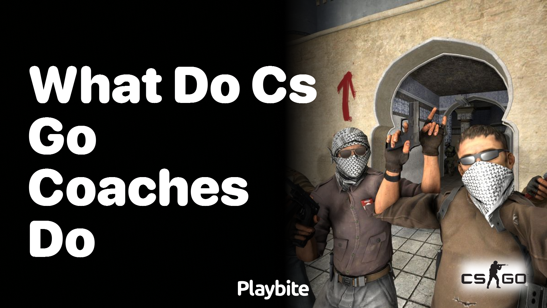 What do CS:GO coaches do?