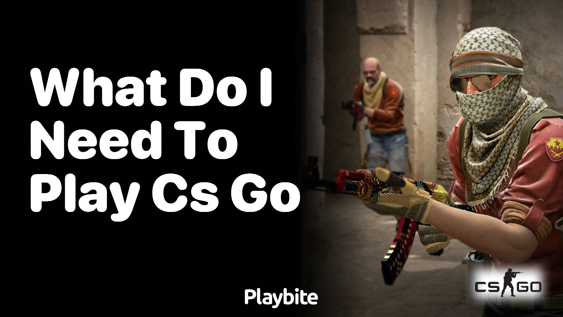 What do I need to play CS:GO?