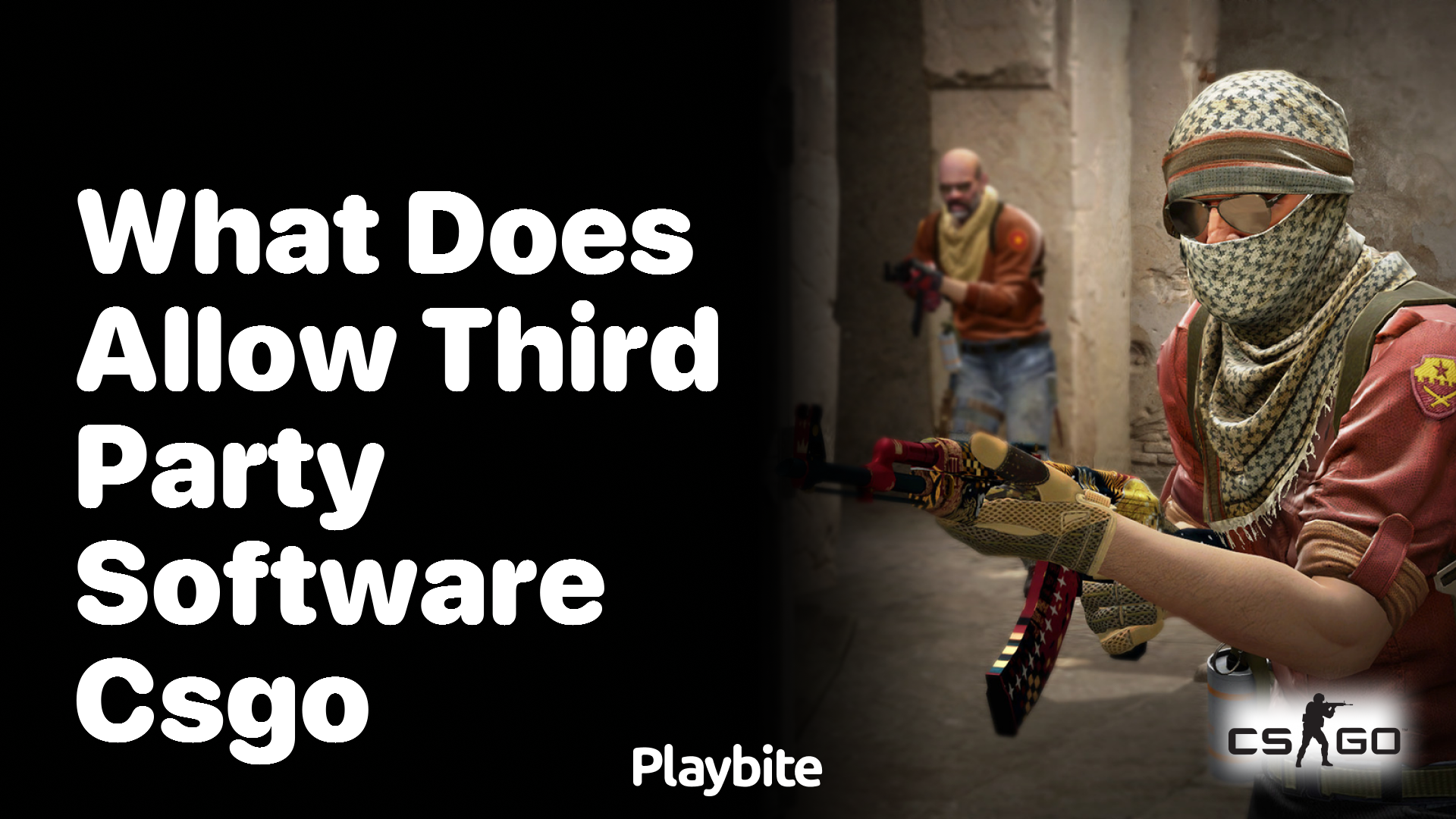 What does ‘Allow Third Party Software’ mean in CS:GO?
