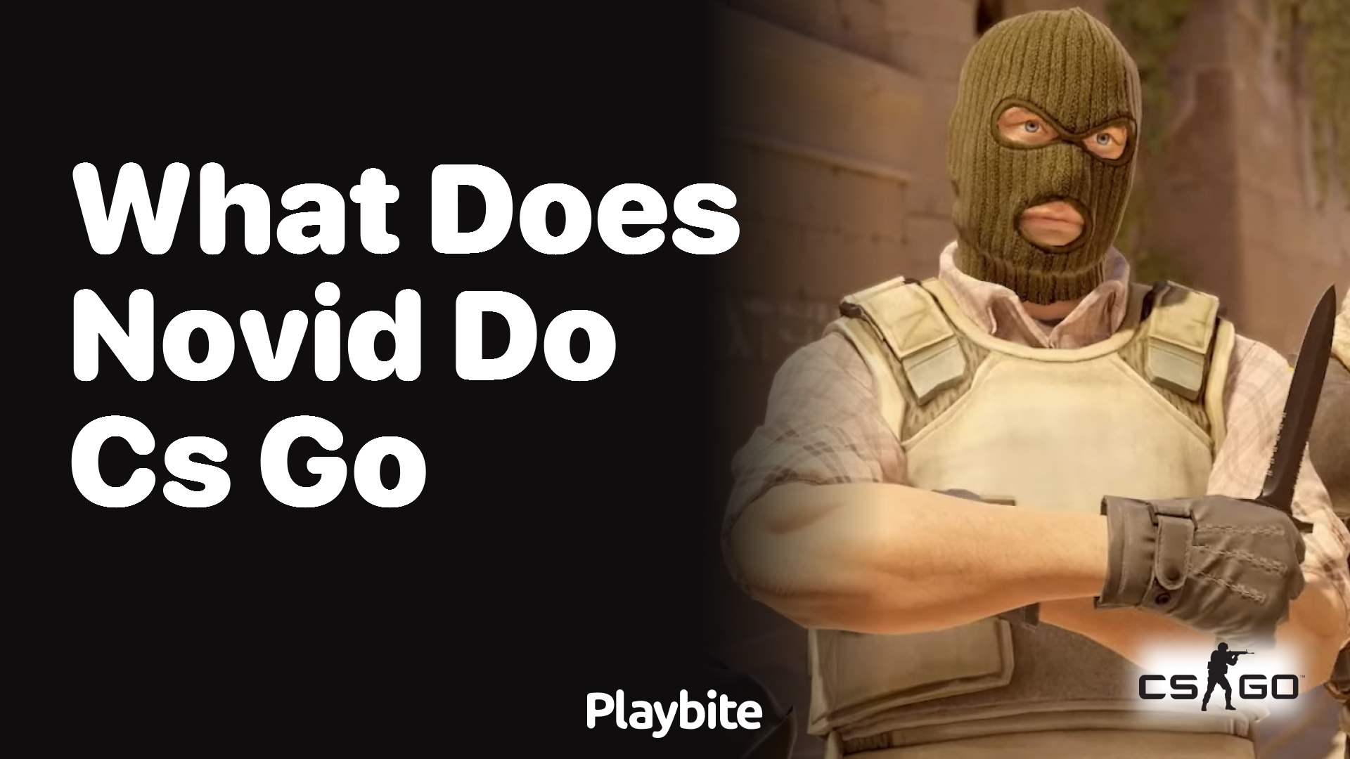 What does -novid do in CS:GO?